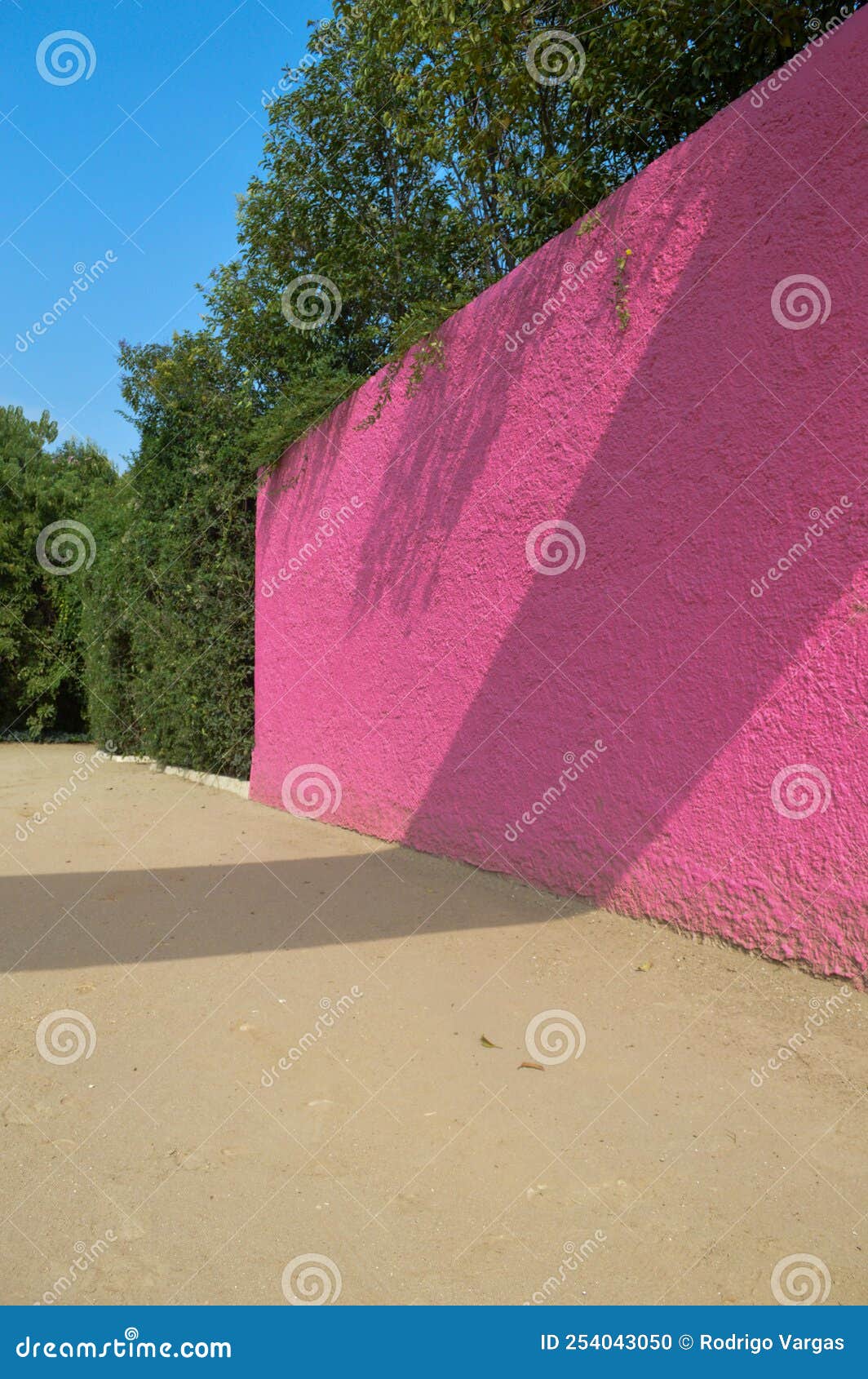 luis barragan's cuadra san cristobal pink wall, endemic vegetation and sandy ground in the background