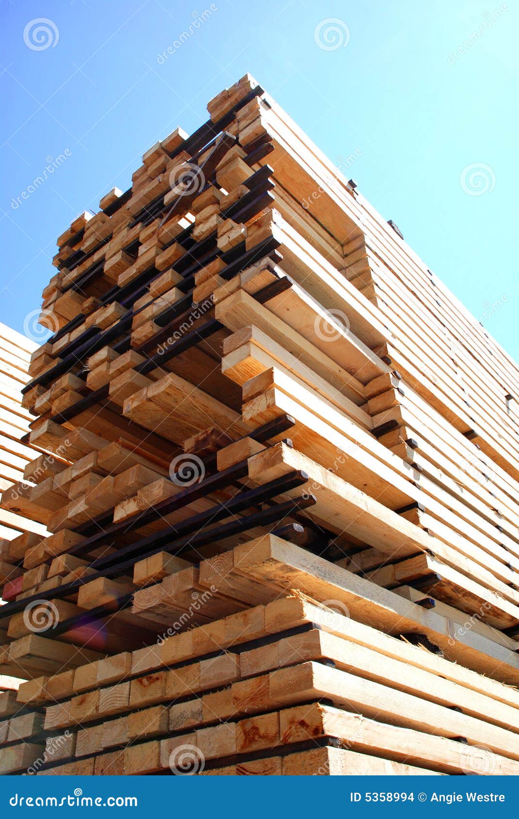 Lumber stock photo. Image of cargo, shipping, trees, home 5358994