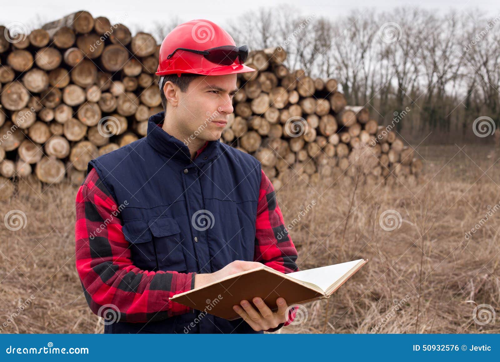 Lumber industry engineer stock photo. Image of pile, industrial 50932576