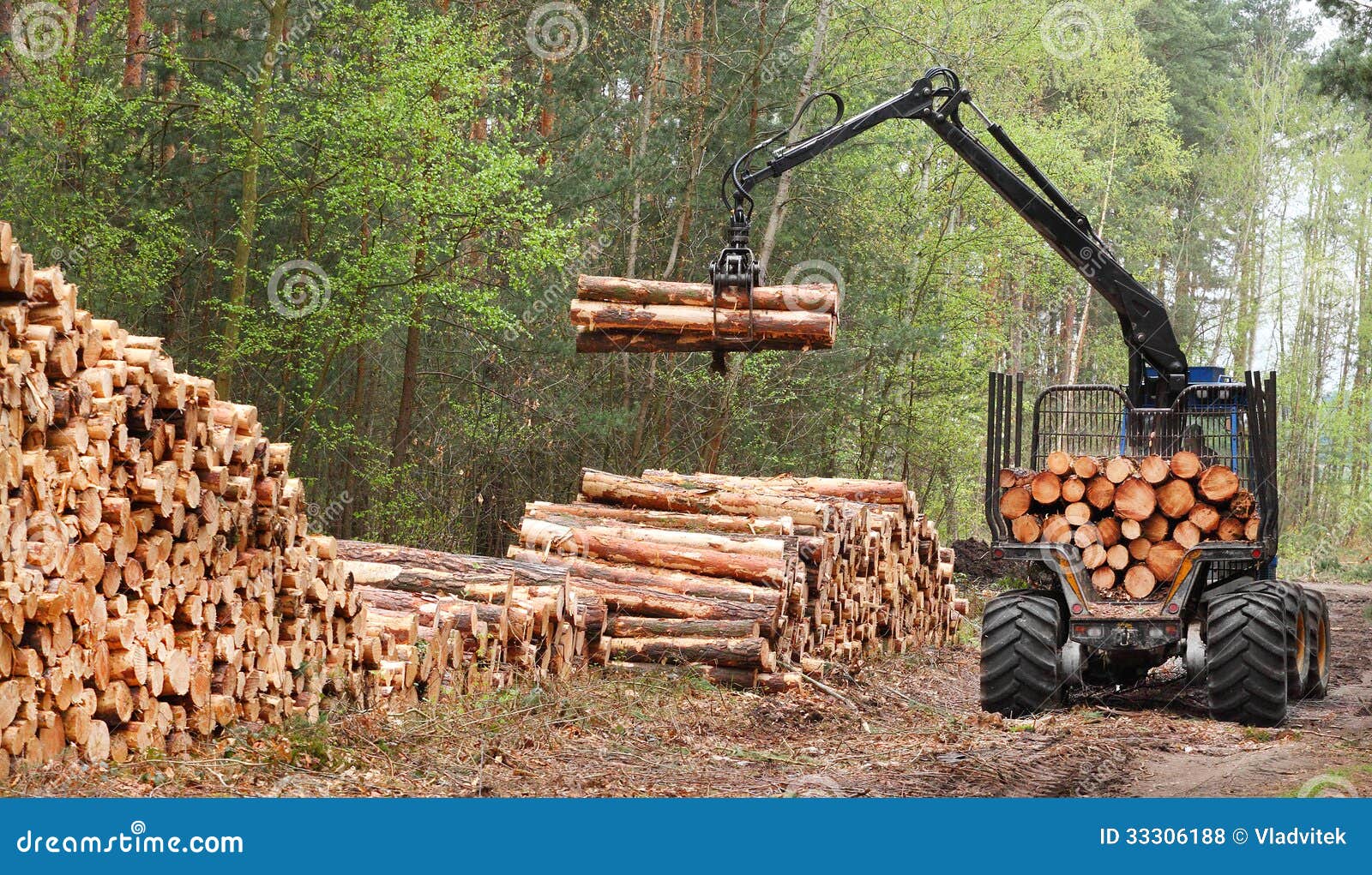 lumber industry.
