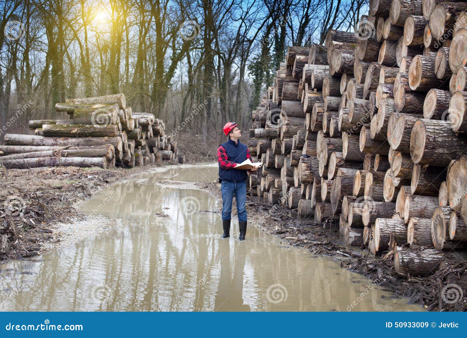 Lumber industry stock image. Image of occupation, business 50933009