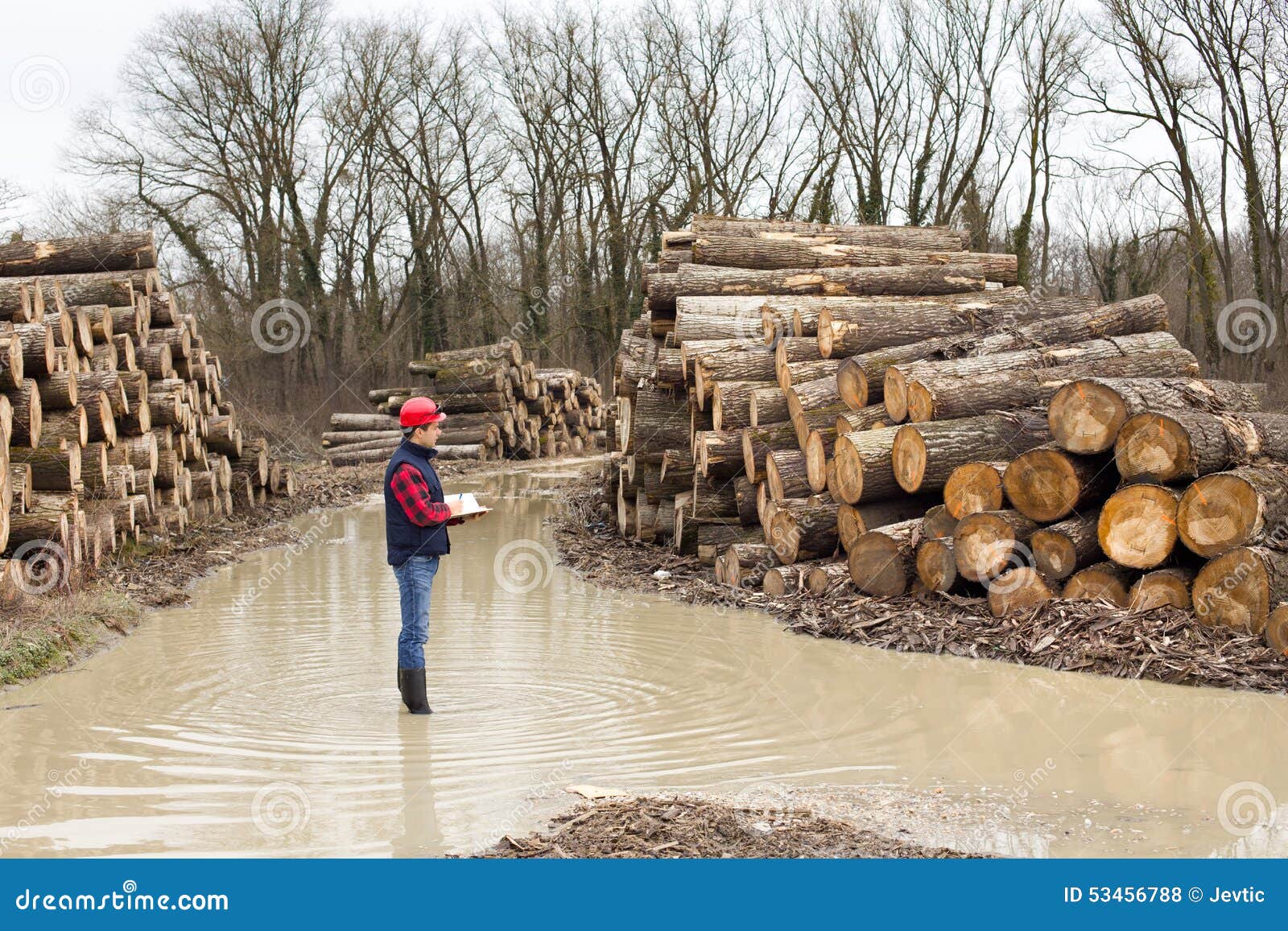 Lumber industry stock photo. Image of lumberyard, plaid 53456788