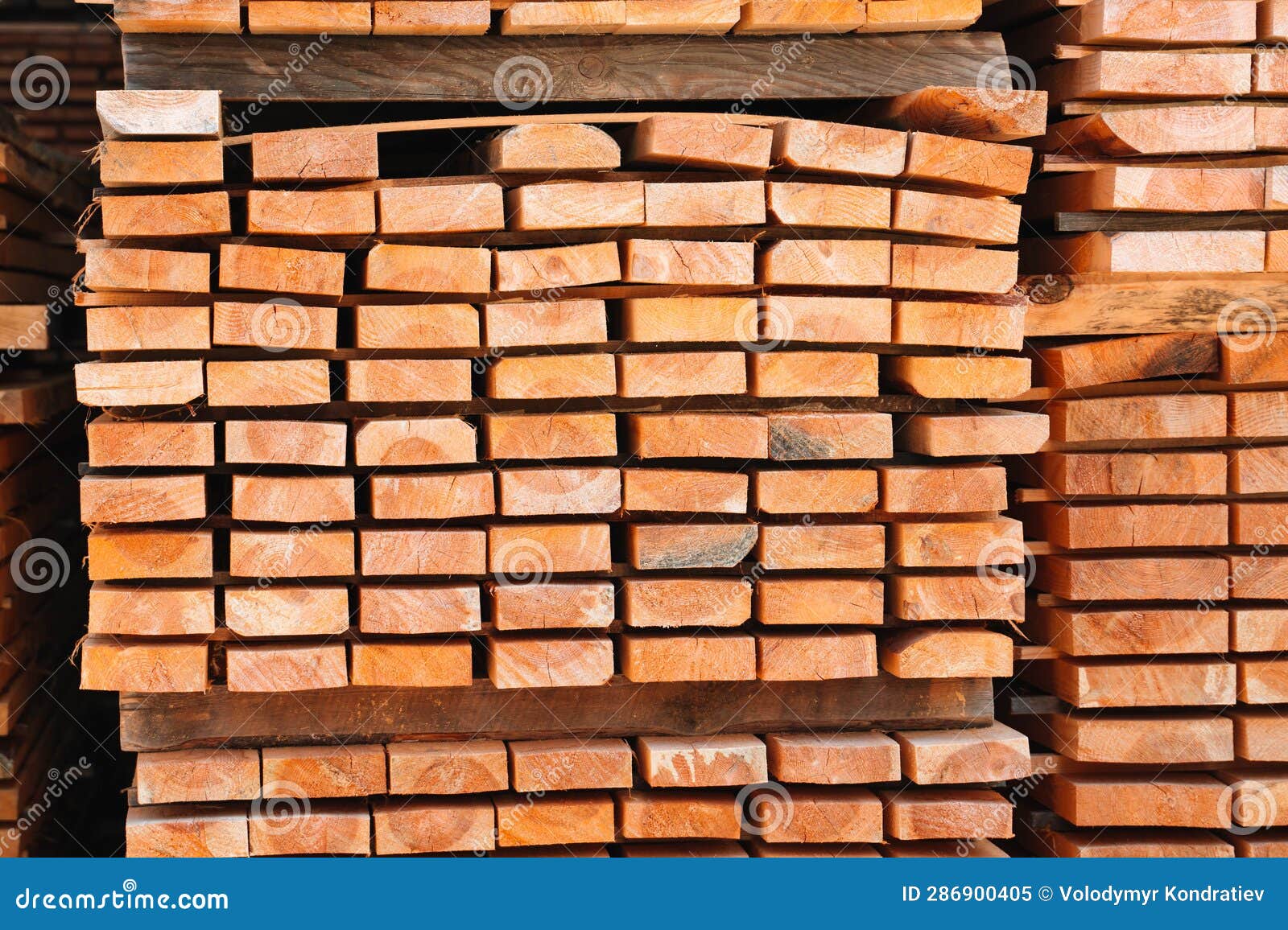 Raw Wood Drying in the Lumber Warehouse Stock Image Image of nature