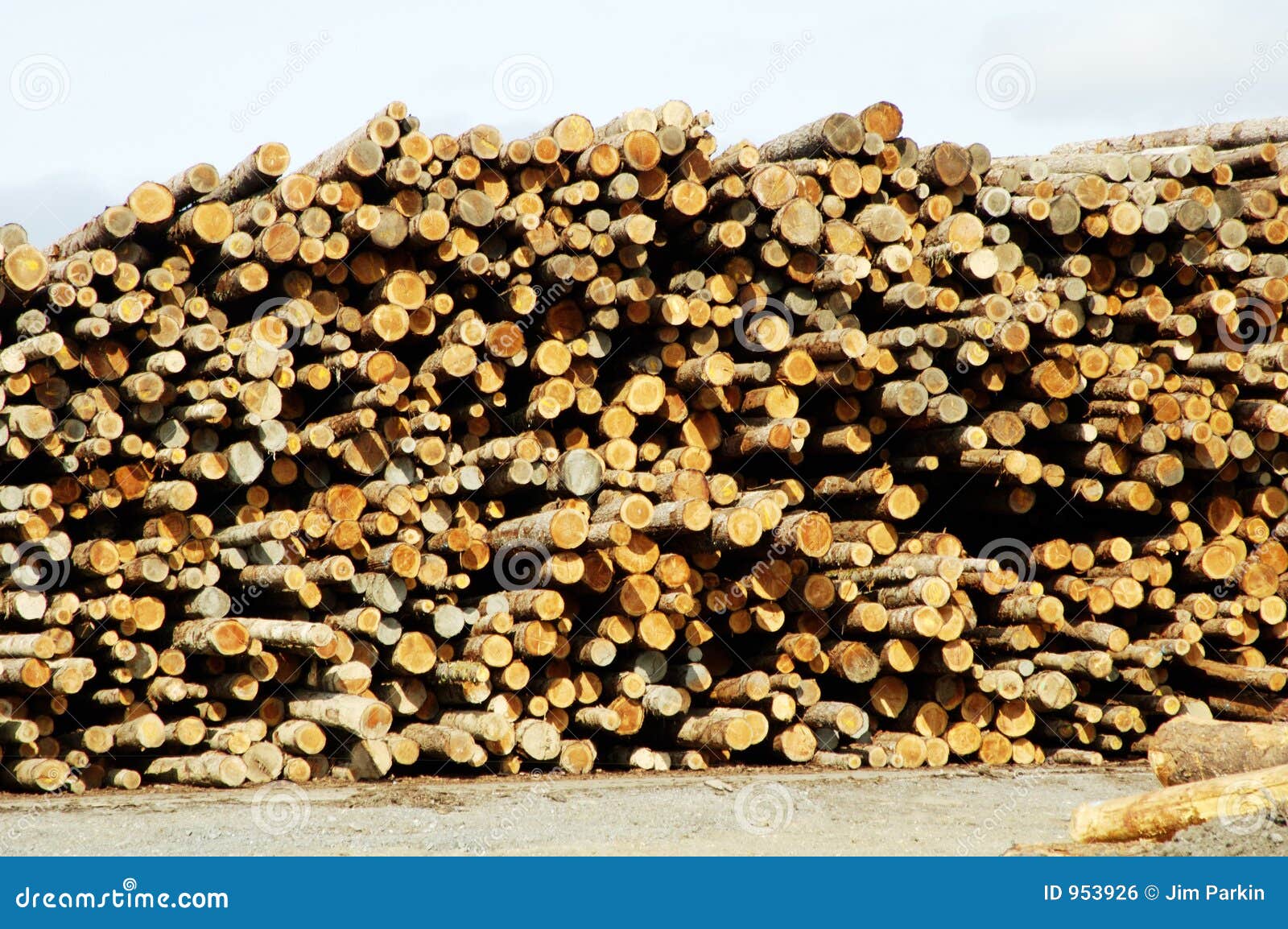 Lumber Processing 2 stock photo. Image of pulp, resources 953926