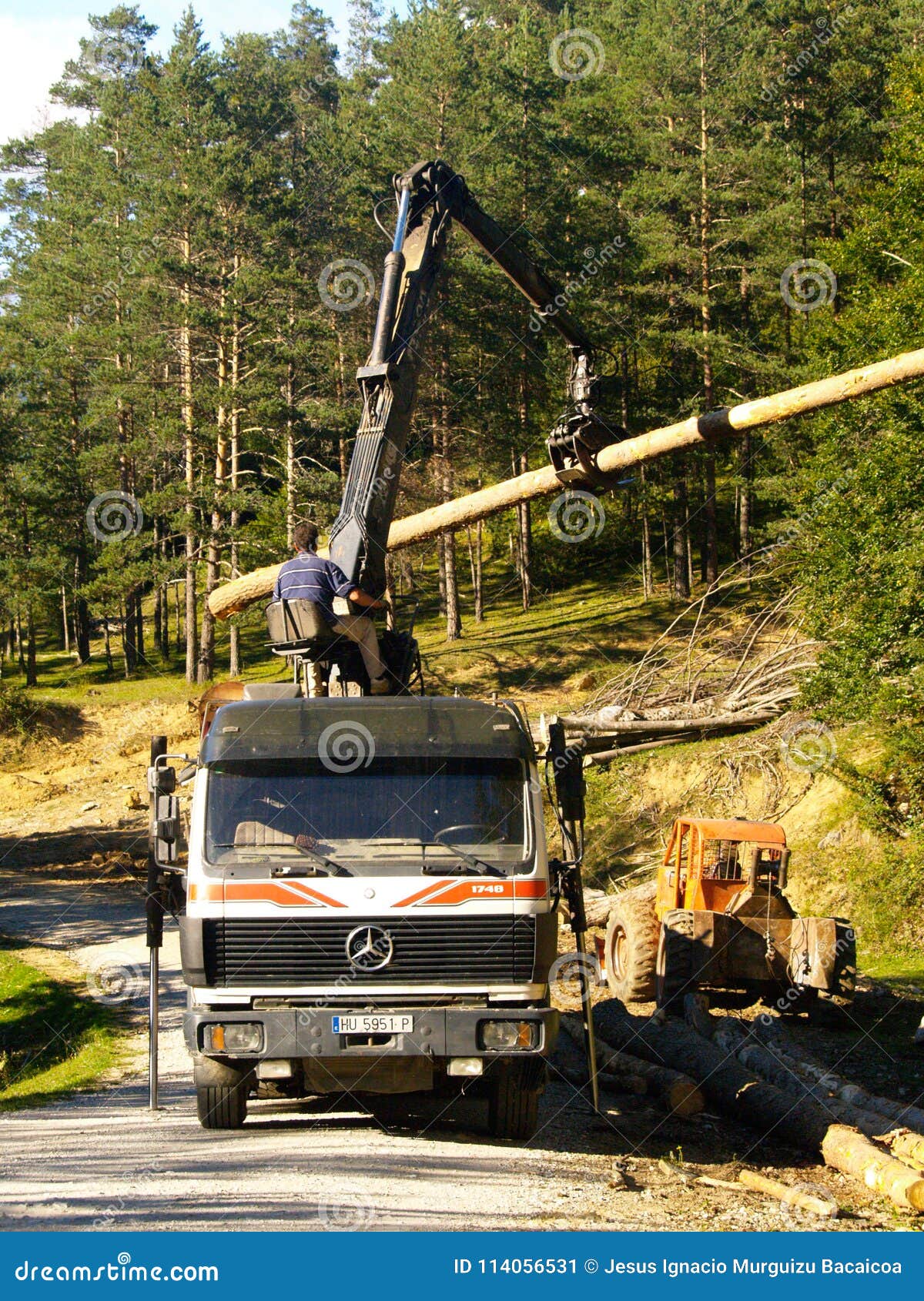 Lumber Truck Working with Crane Editorial Photo Image of forestn