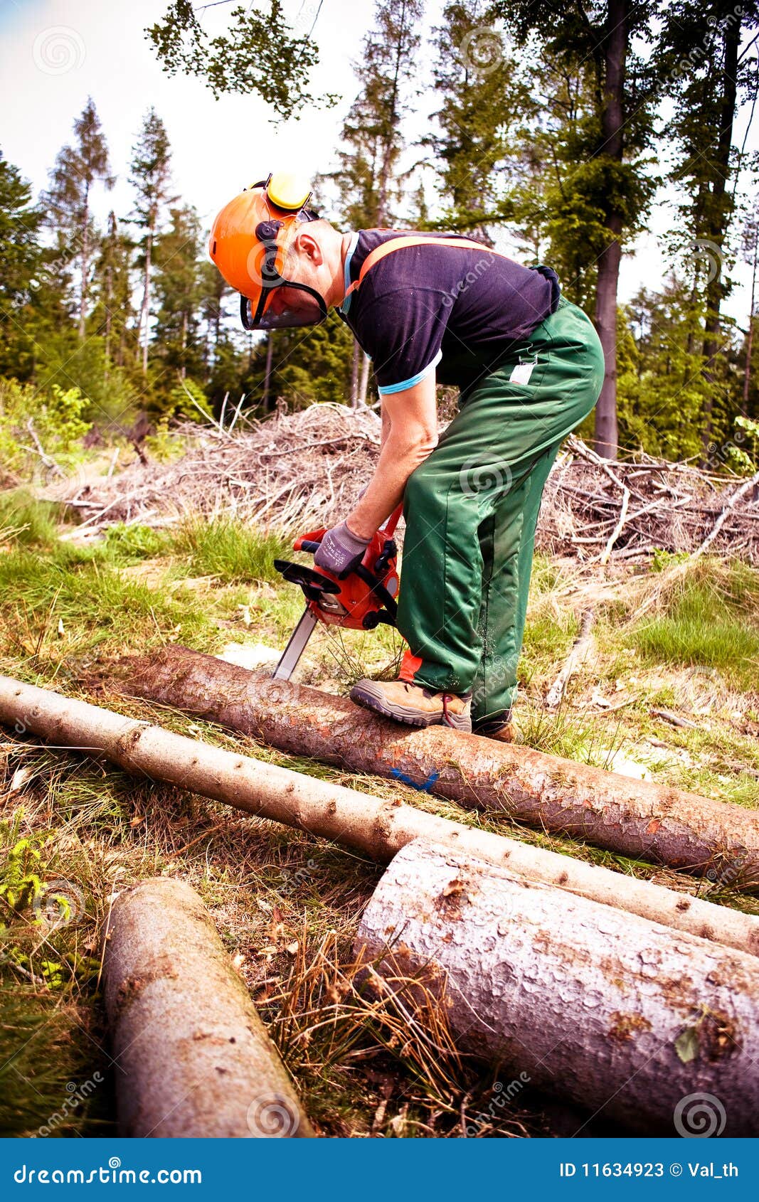 Lumberjack stock image. Image of male, lumberjack, chainsaw 11634923