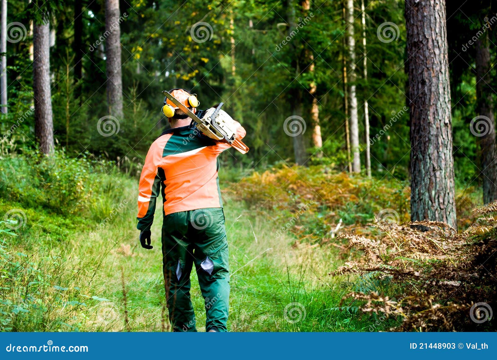 Lumberjack stock image. Image of lumberjack, tree, working 21448903