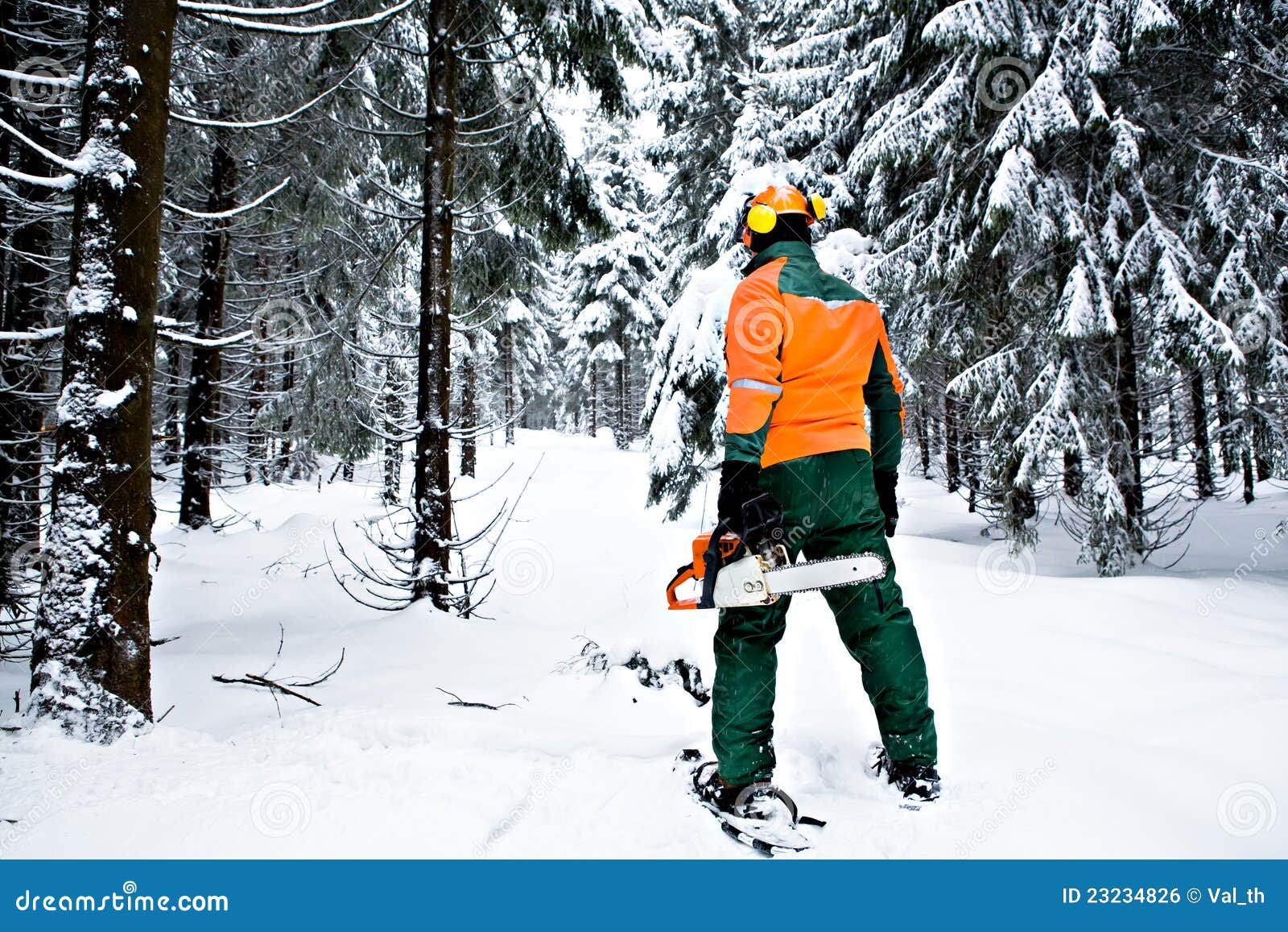 Lumberjack stock photo. Image of adults, work, chainsaw 23234826