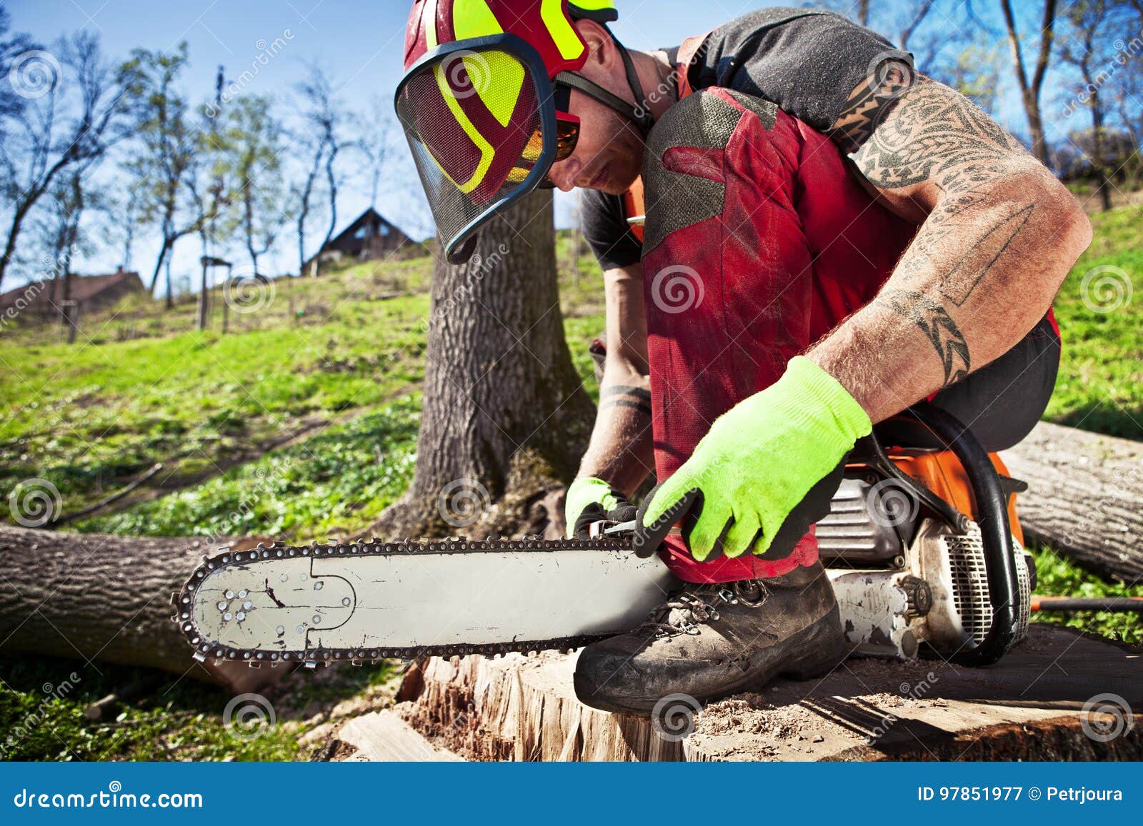Lumberjack with chainsaw stock image. Image of wood, lumber 97851977