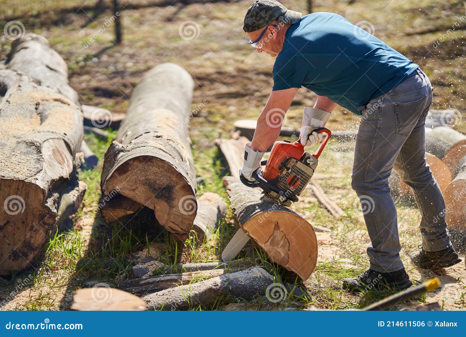 Lumberjack visual data 8