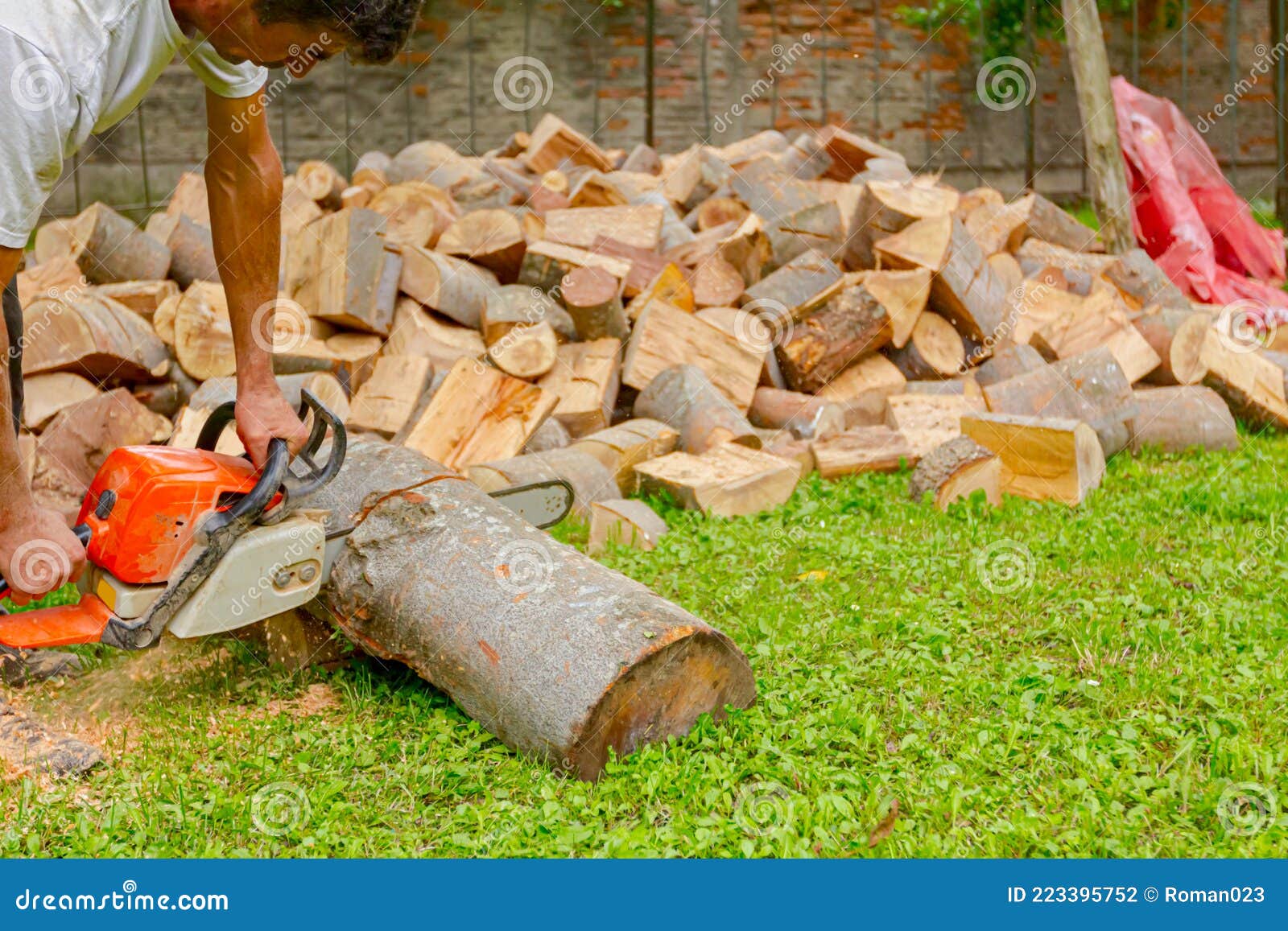 Logger Man Cutting A Tree With Chainsaw. Lumberjack Working With