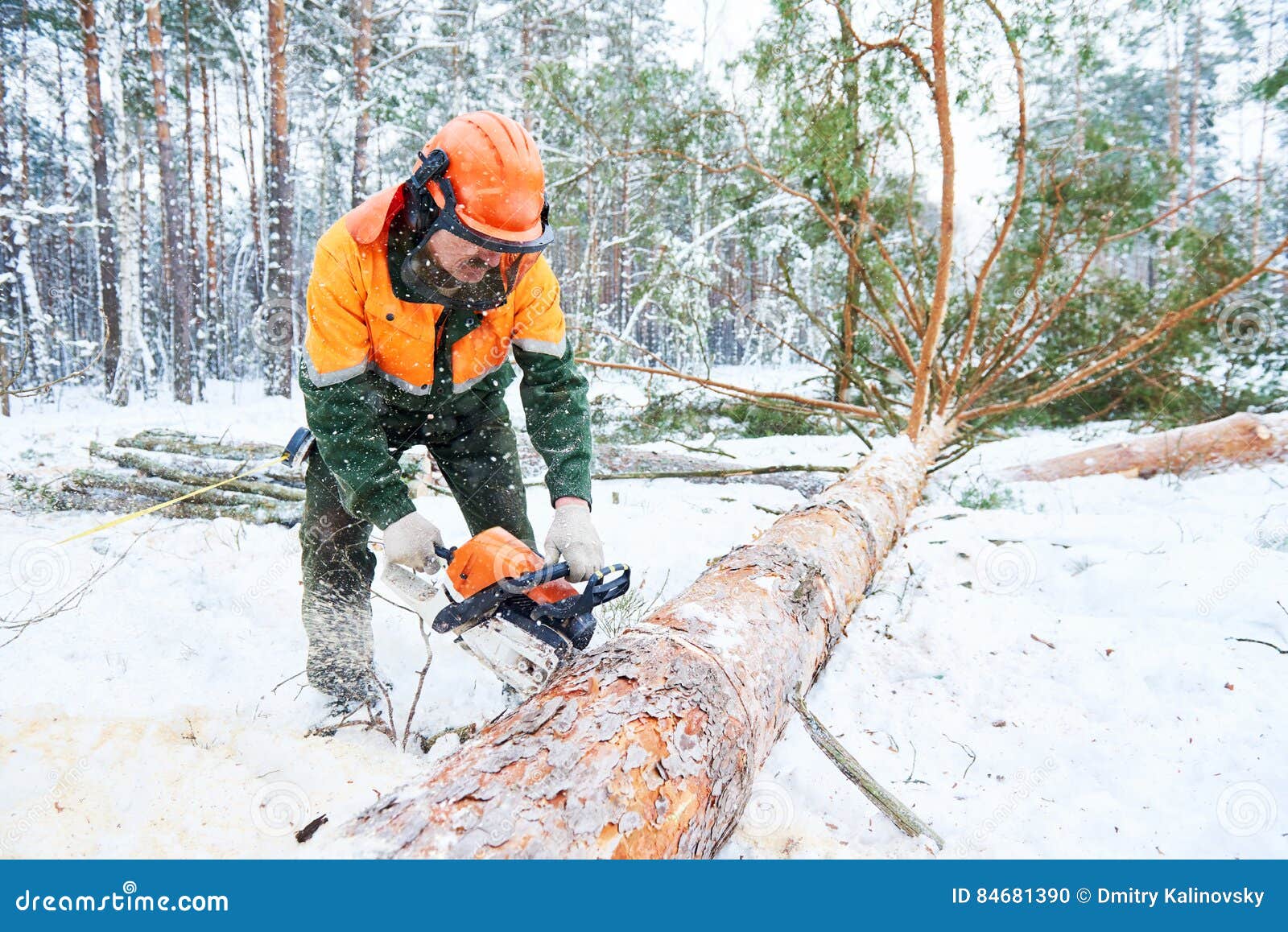 lumberjack cutting tree in snow winter forest