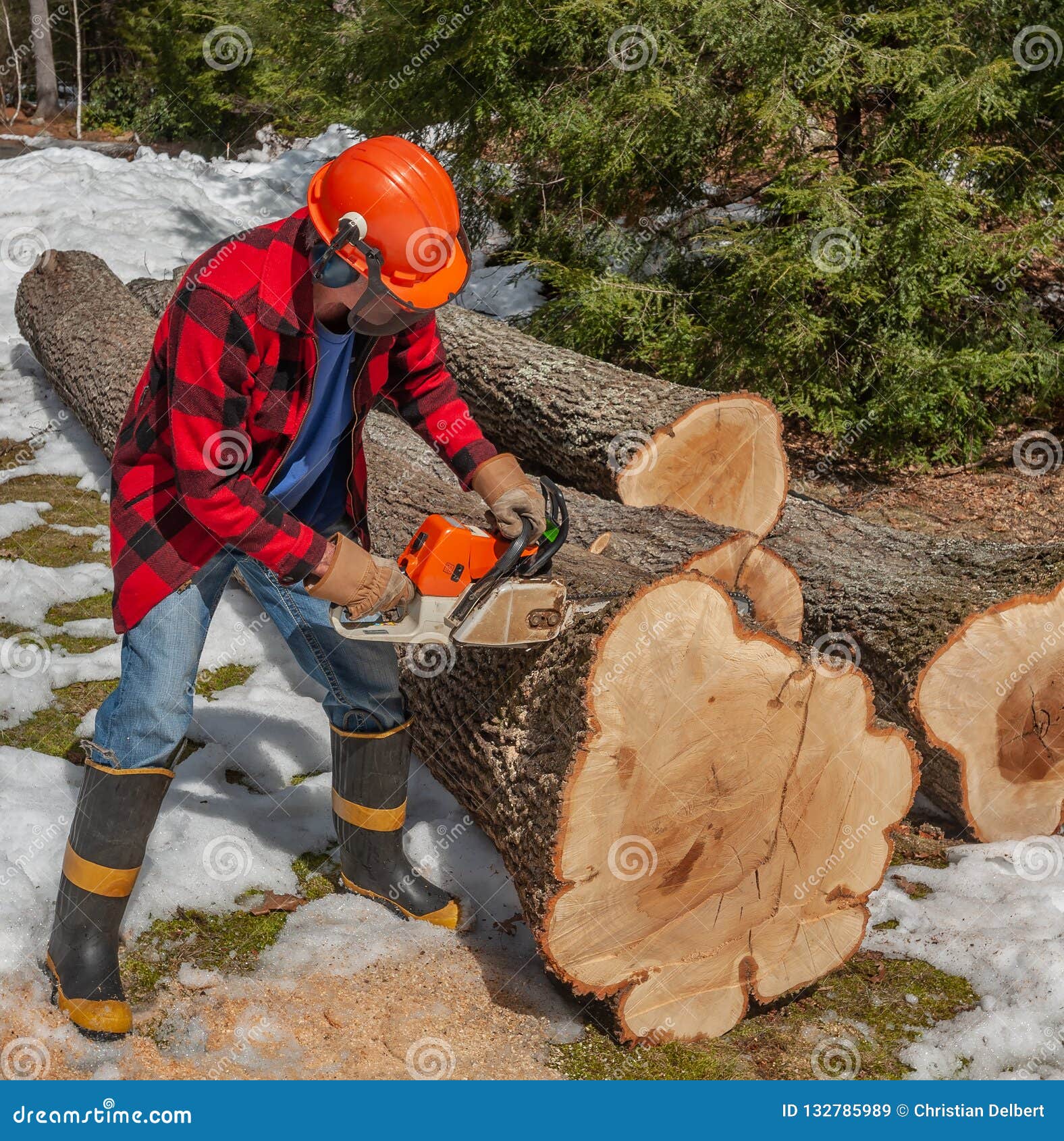 Learn to Cut Firewood: Confessions of a Homestead Woodcutter