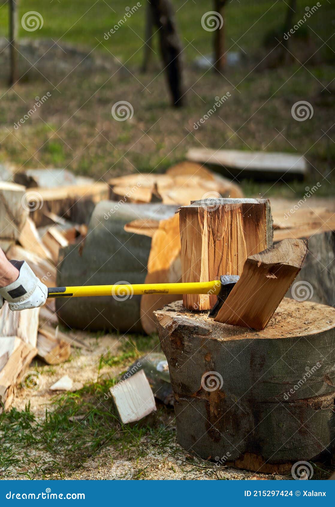 Lumberjack Hands Splitting Wood Stock Photo Image of logging, equipment 215297424