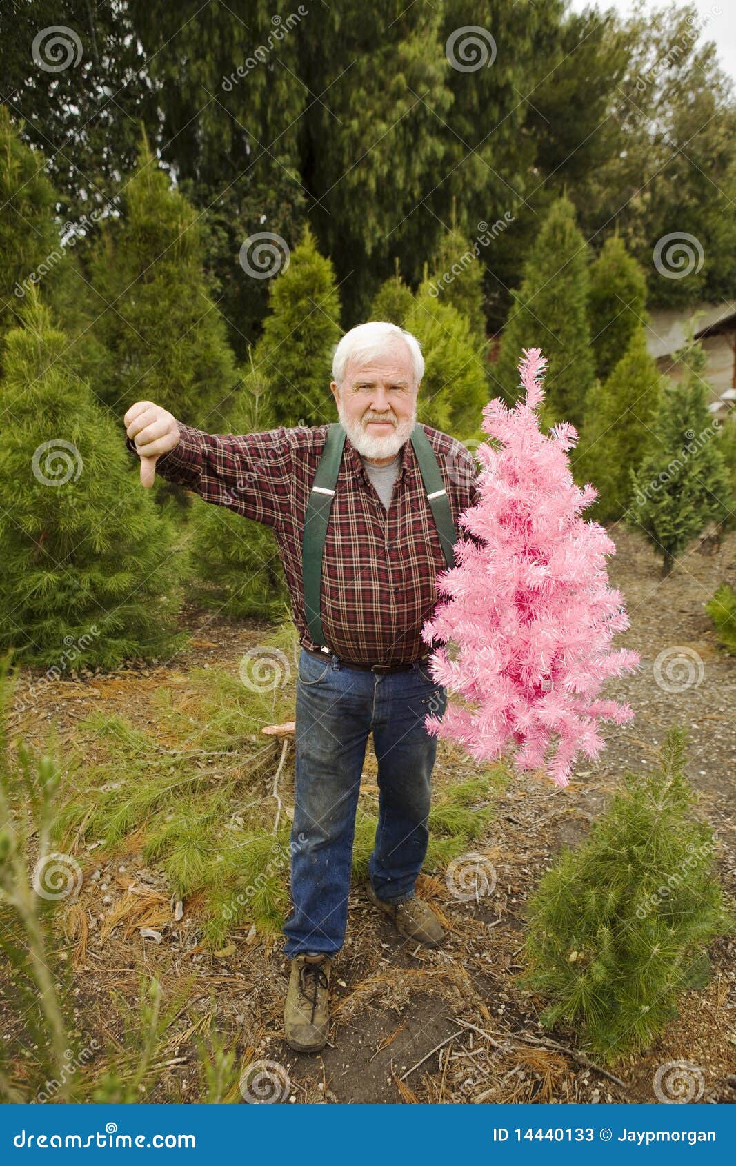 Lumberjack with Pink Christmas Tree Stock Image Image of gray, farm