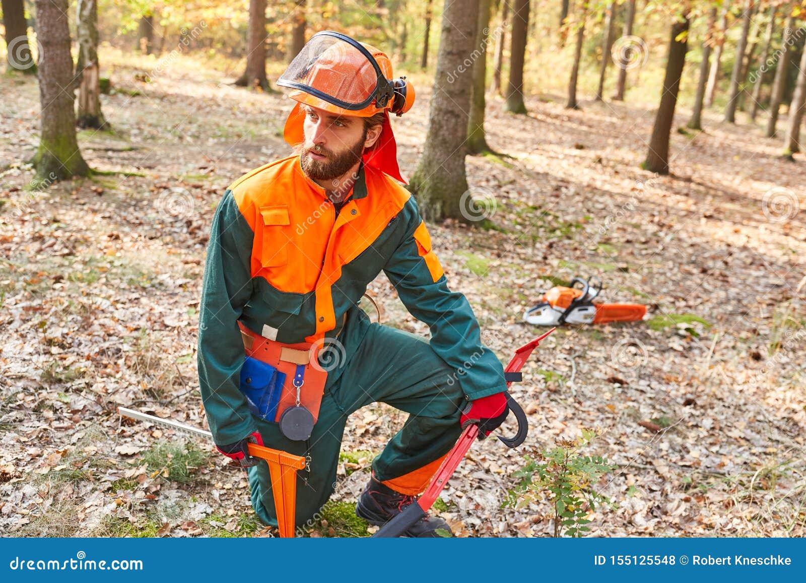 Lumberjack in Protective Clothing and with Tools Stock Photo Image of
