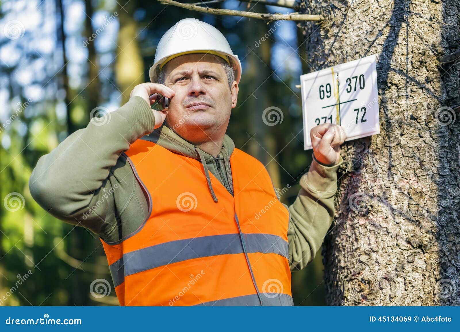 Lumberjack Talking on Cell Phone Near Marked Tree in Forest Stock Image