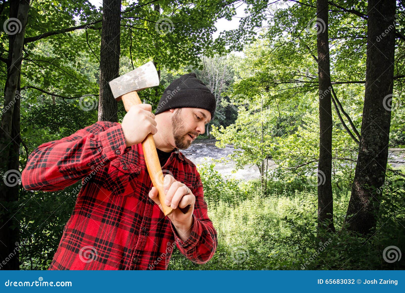 Lumberjack Woodsman Chopping Wood Stock Photo Image of logger