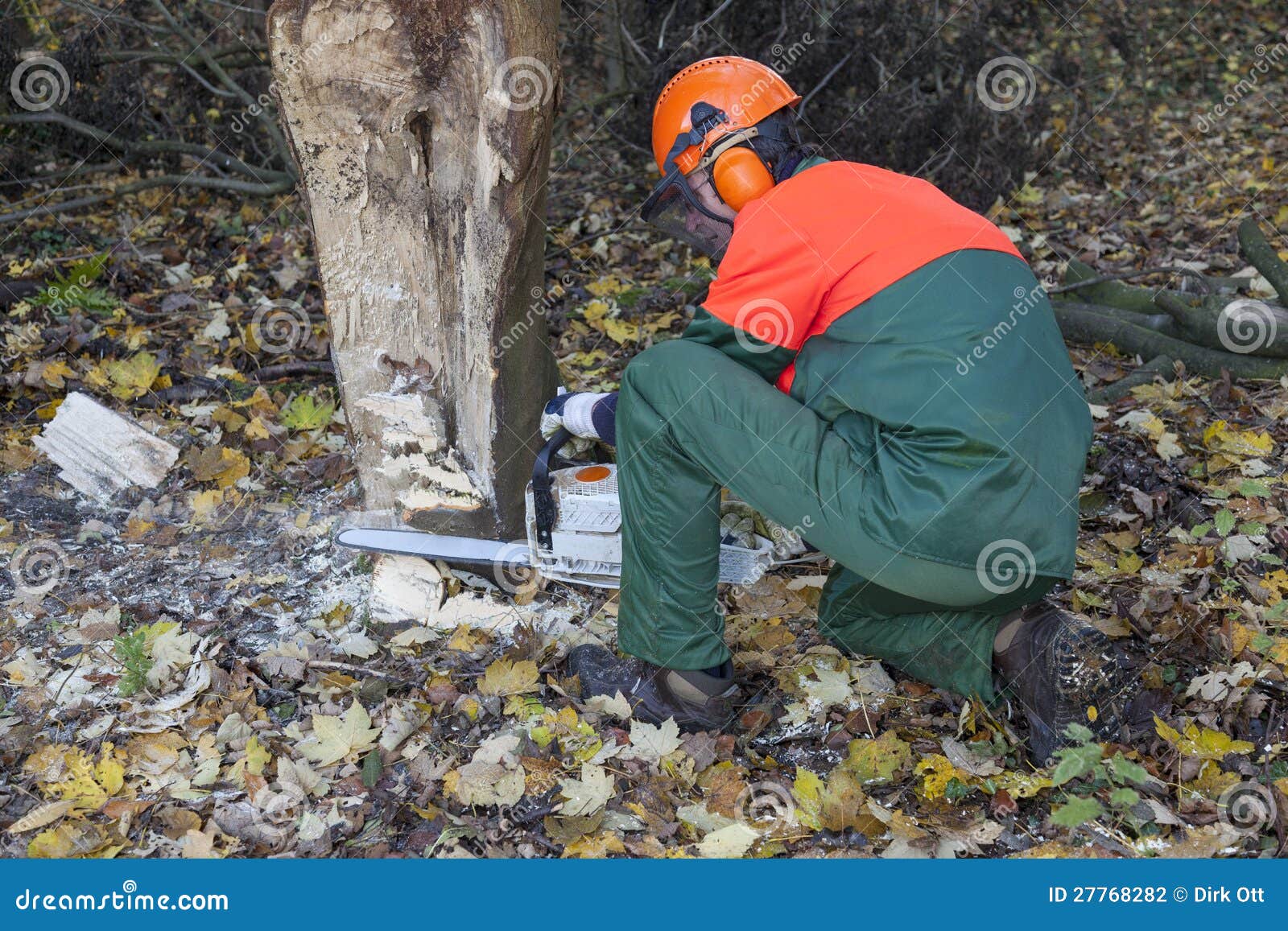 Lumberjack at work stock photo. Image of helmet, lumber 27768282