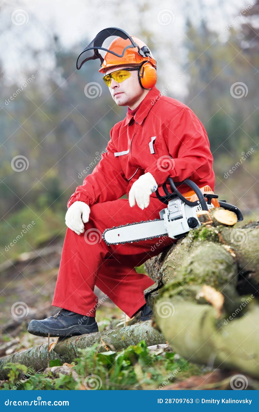Lumberjack Worker with Chainsaw in the Forest Stock Image Image of