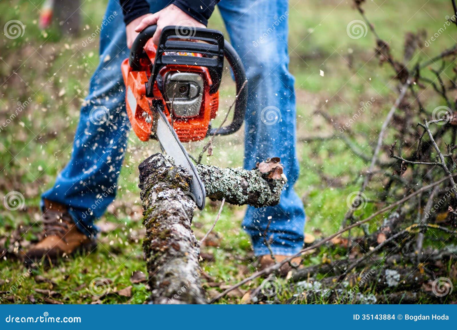 Lumberjack Worker in Full Protective Gear Cutting Firewood Stock Photo