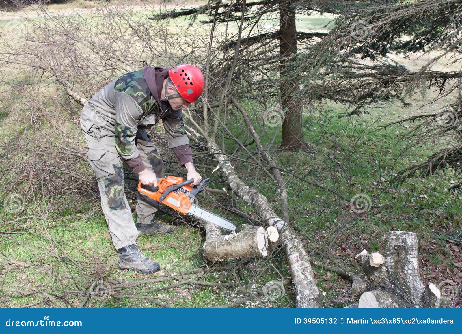 A Lumberjack Working with a Chainsaw Stock Photo Image of motion, heating 39505132