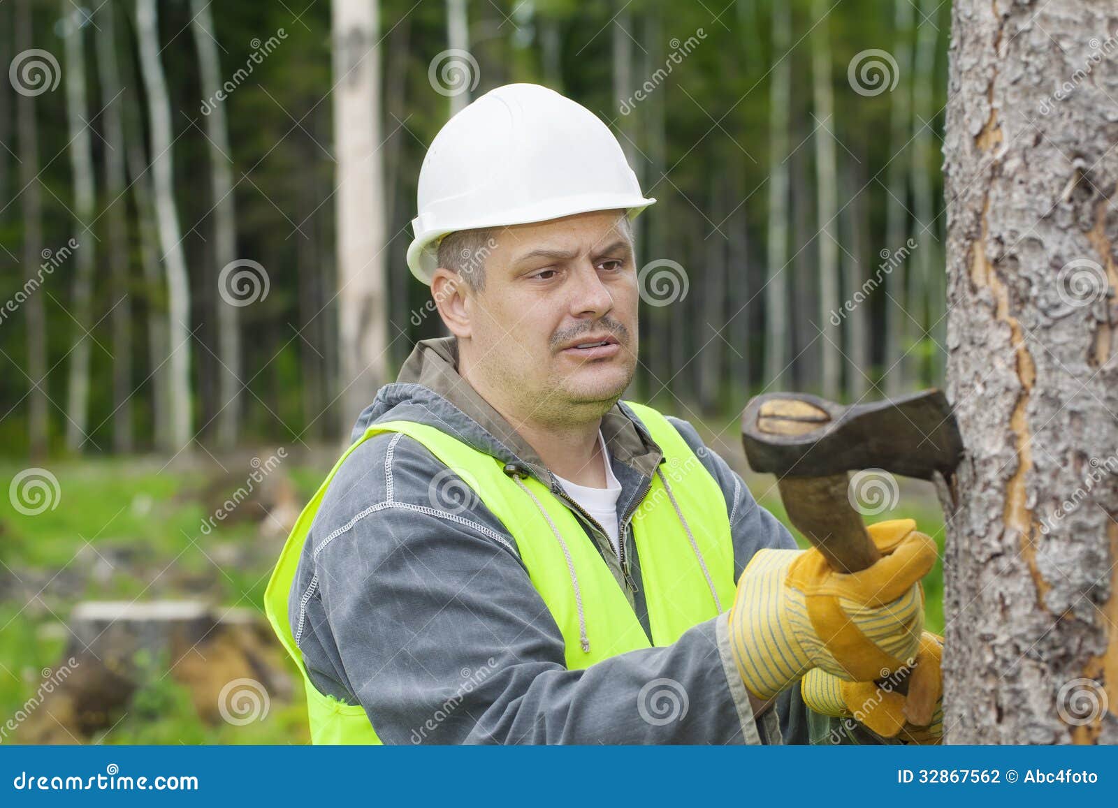 Lumberjack Working in the Forest Stock Photo Image of climb