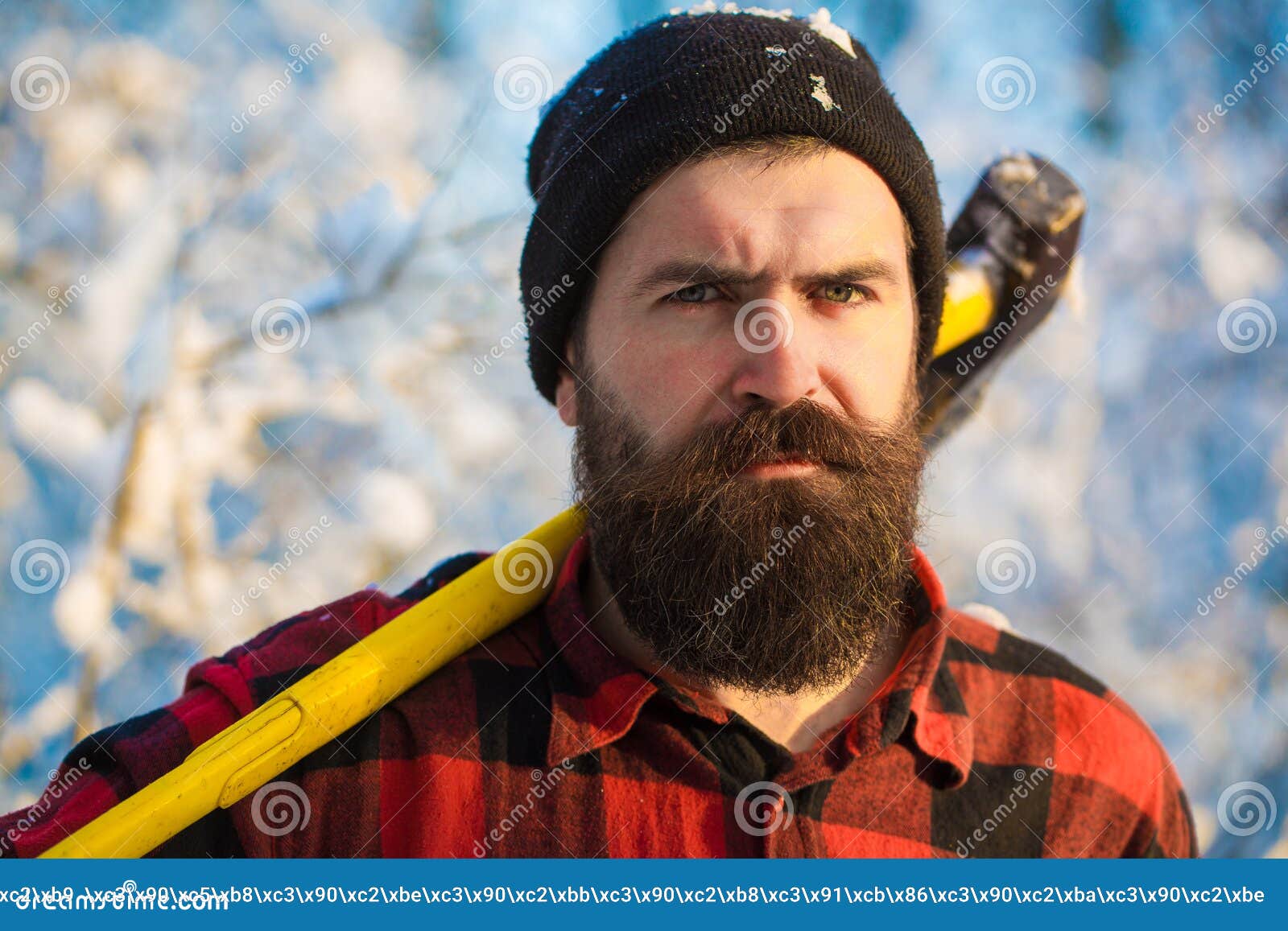 Lumberjack в древесинах с осью Зверский бородатый человек с бородой и