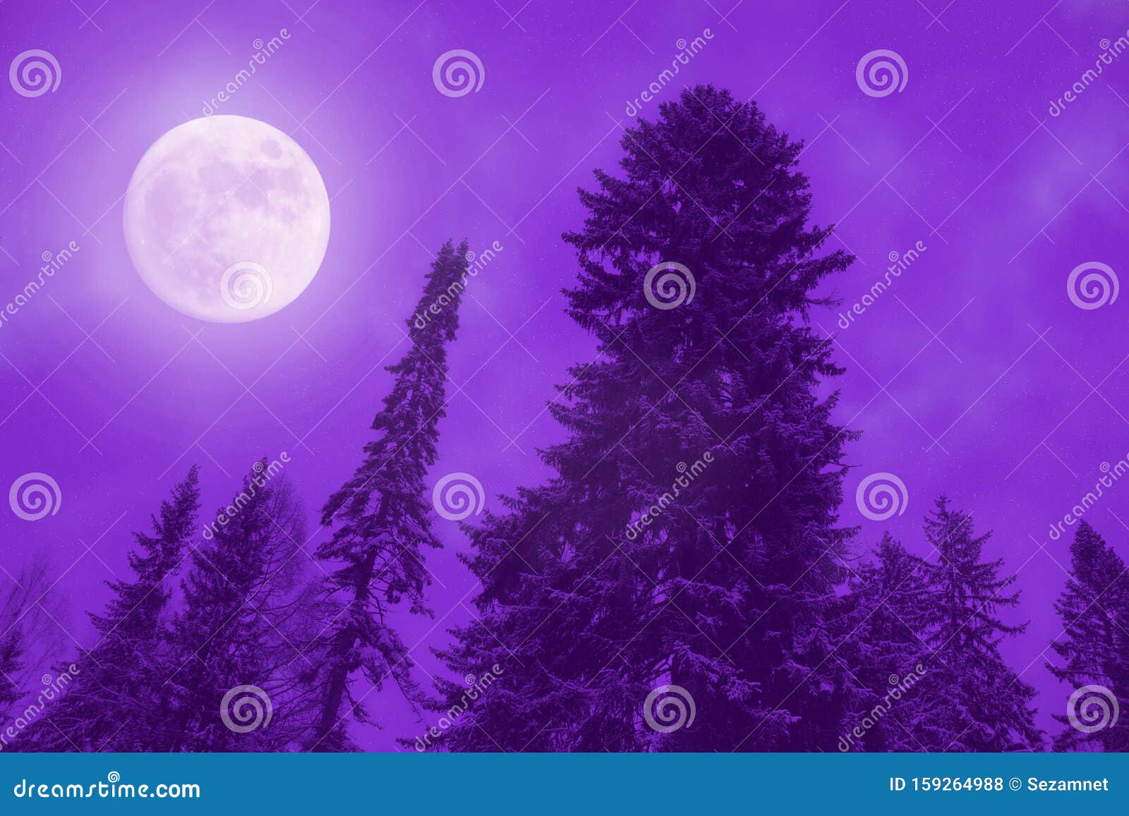 Luna Night Stars Clouds Trees Forest Winter Moon Sky Stock ...