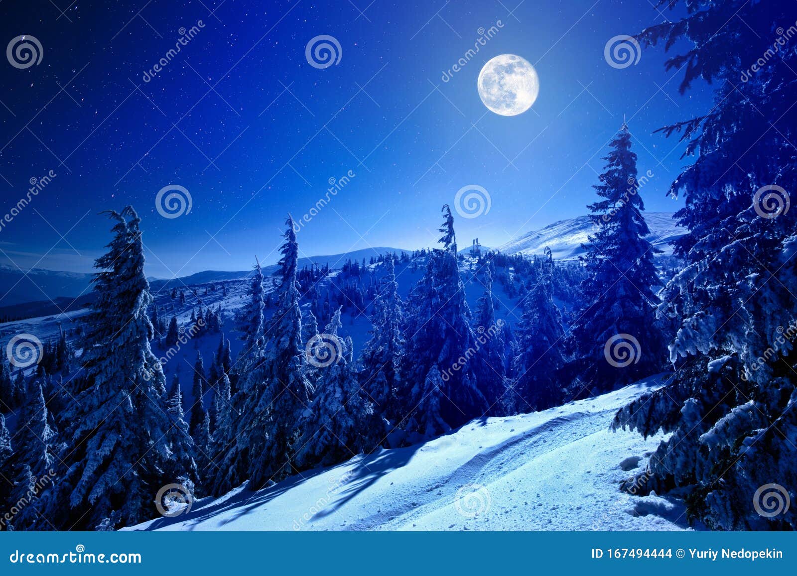 Luna Piena Sulla Foresta Invernale Profonda Coperta Di Neve La Notte D' inverno Fotografia Stock - Immagine di stagione, scienza: 167494444