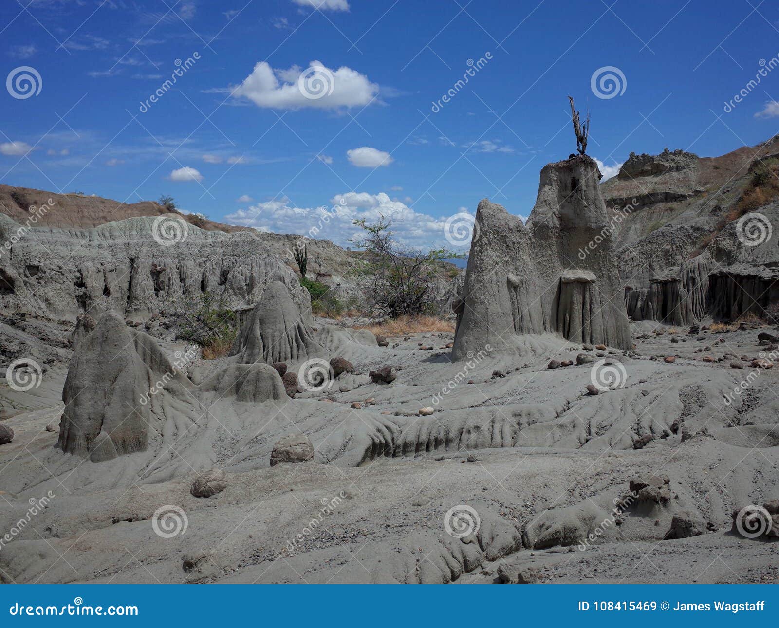the lunar landscape of los hoyos, the grey desert, part of colombia`s tatacoa desert. the area is an ancient dried forest and pop