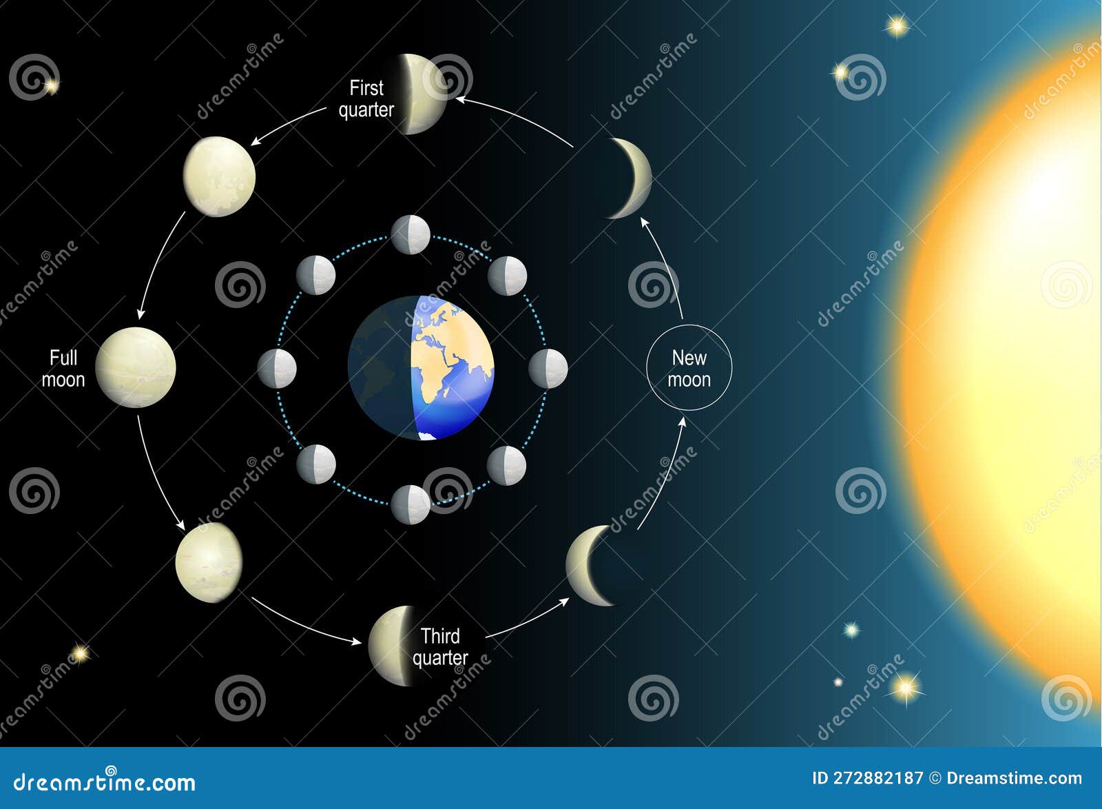 https://thumbs.dreamstime.com/z/lunar-phase-moon-cycle-phases-depends-s-position-orbit-around-earth-sun-movements-realistic-vector-illustration-272882187.jpg