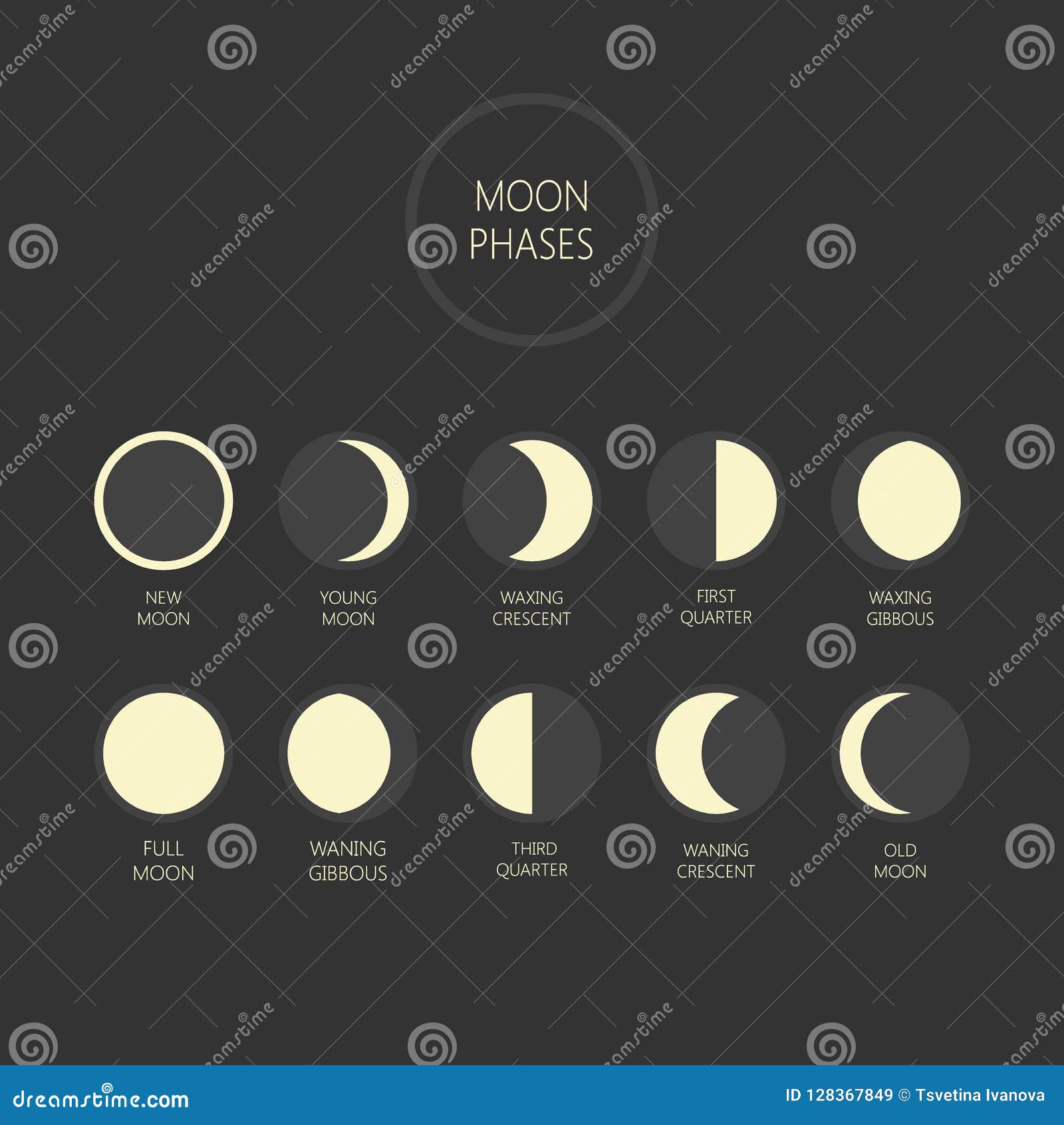 Lunar Phases Vector Illustration. Moon Phase Cycle, New Moon, Full