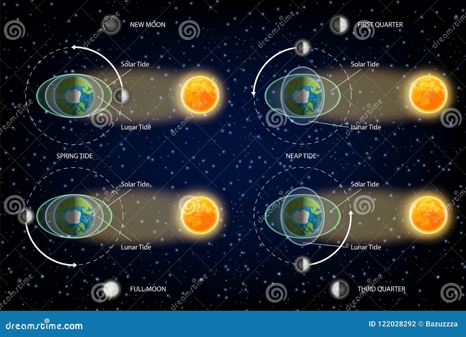 lunar and solar tides diagram  