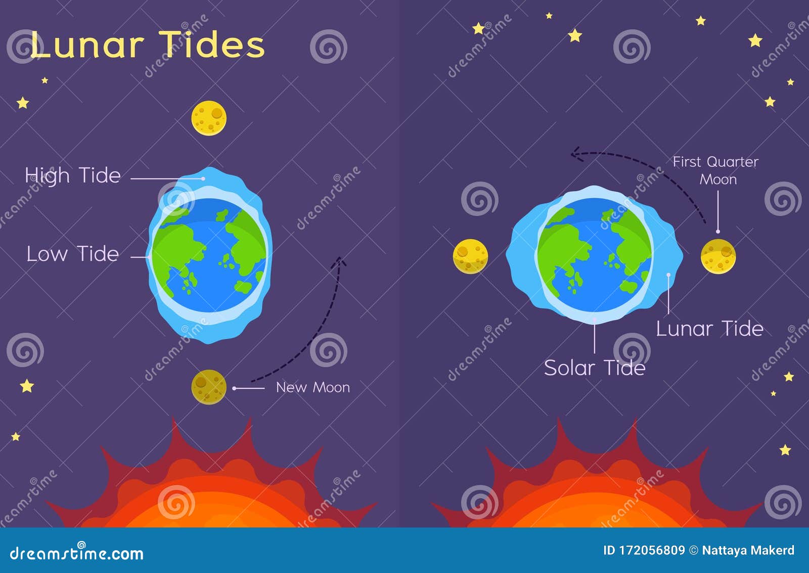 Lunar Tides - Astronomy For Kids Solar Eclipses Stock Vector