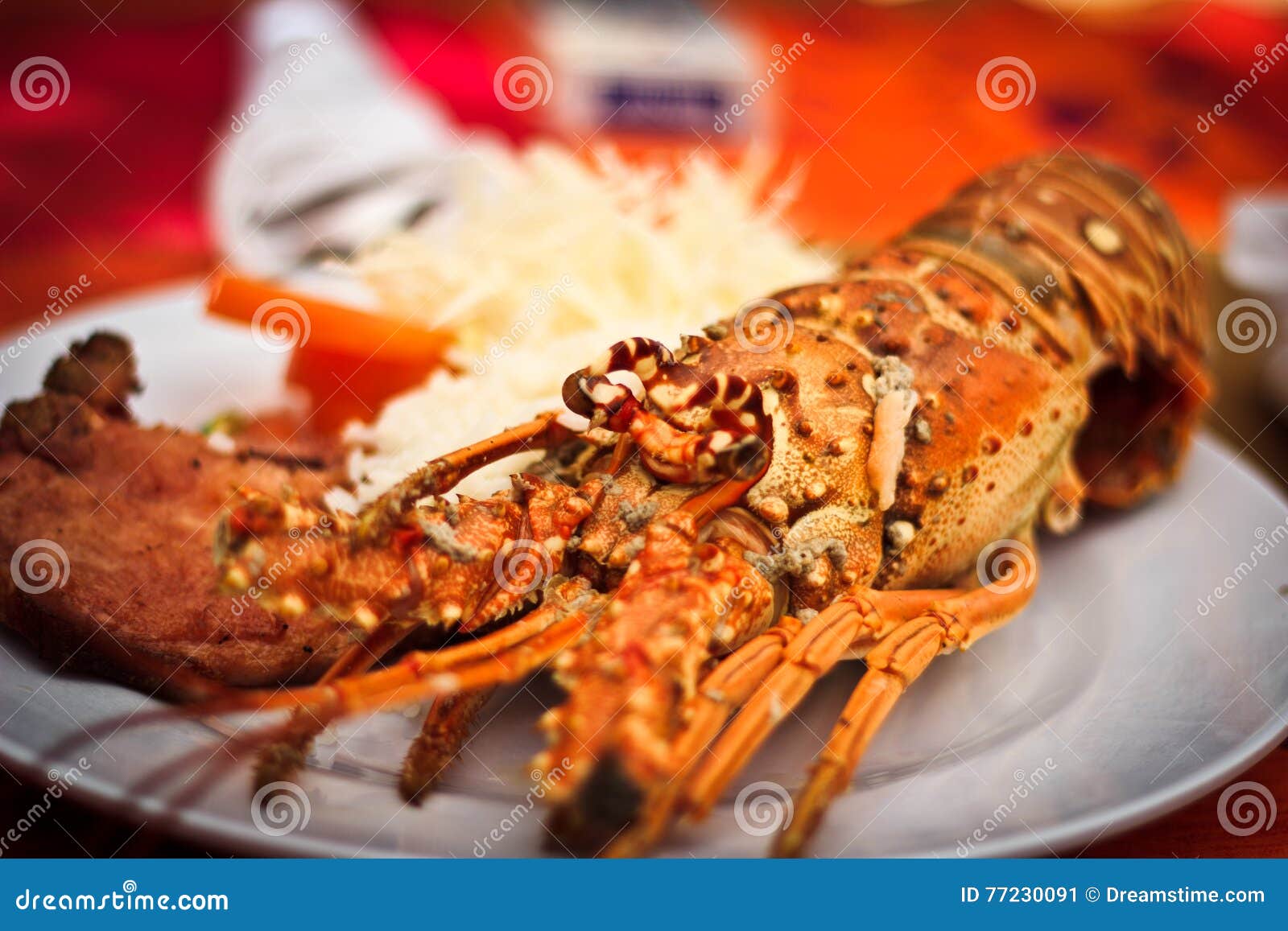 Lunch of lobster stock image. Image of lemon, crowd, claw 77230091