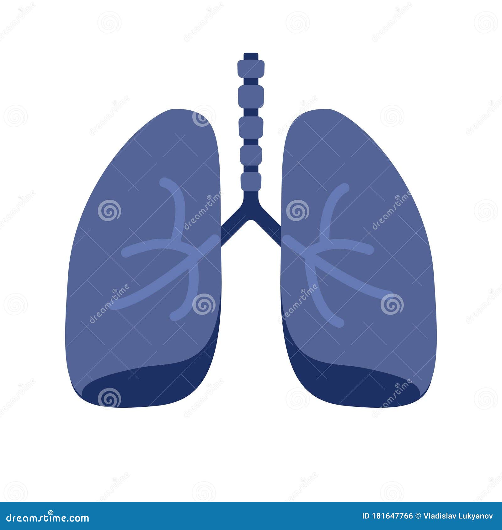Lung or Human Lungs Icon with Bronchial System Vector Flat Cartoon  Illustration Isolated on White Background Stock Vector - Illustration of  disease, healthy: 181647766