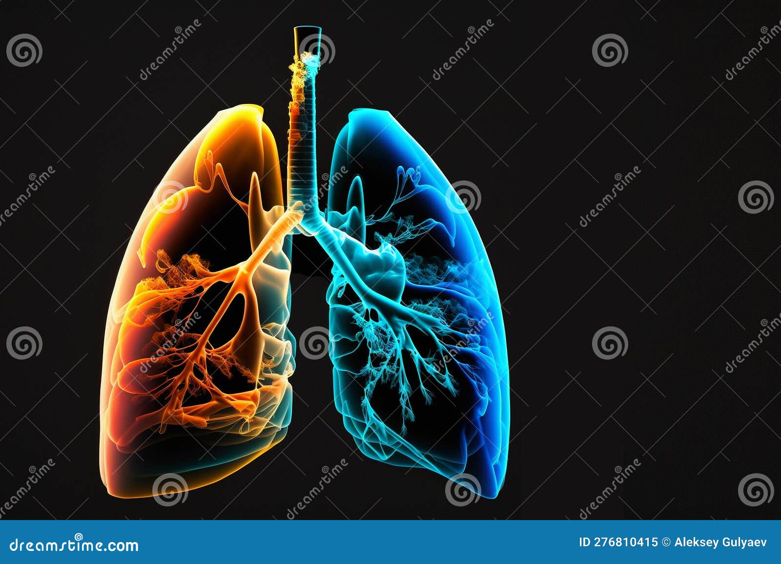 anatomy lungs. black background. side view. ai generation