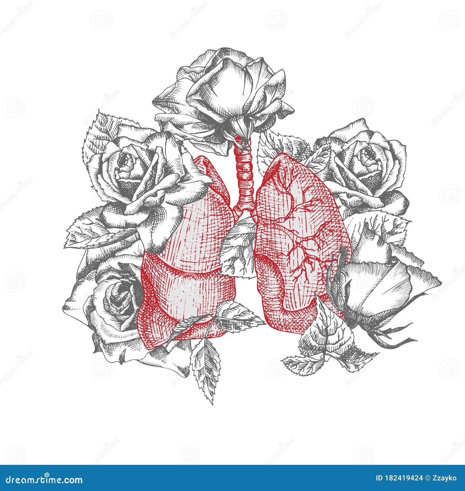 Flower Lungs Stock Illustrations – 445 Flower Lungs Stock Illustrations, Vectors & Clipart - Dreamstime Flower Lungs Stock Illustrations – 445 Flower Lungs Stock Illustrations, Vectors & Clipart - Dreamstime