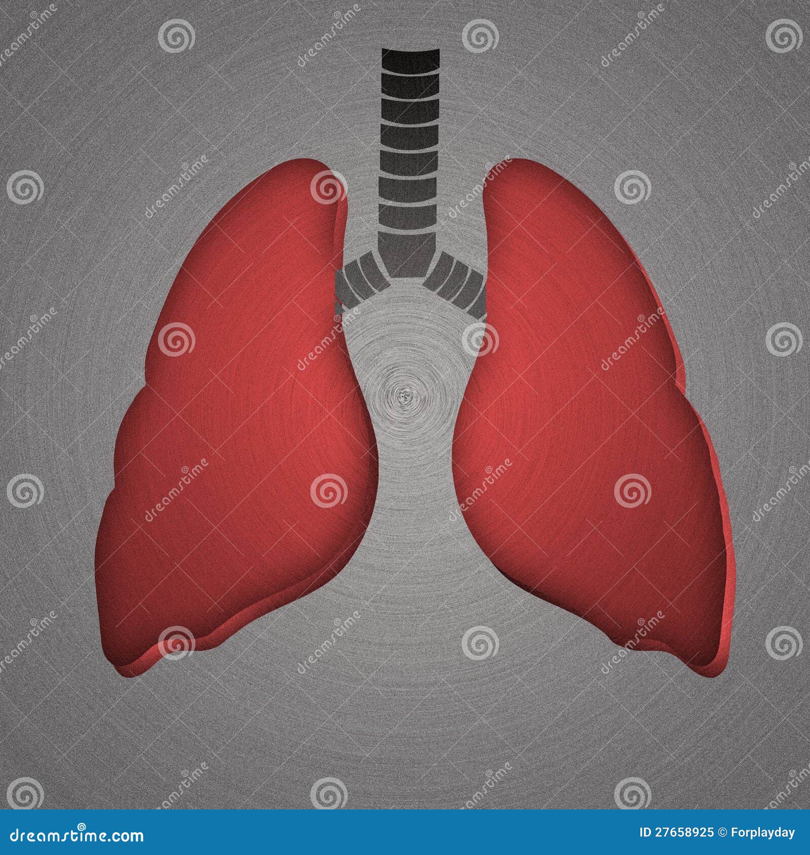 Lungs, Stamped into Polished Metal Stock Image Image of concept