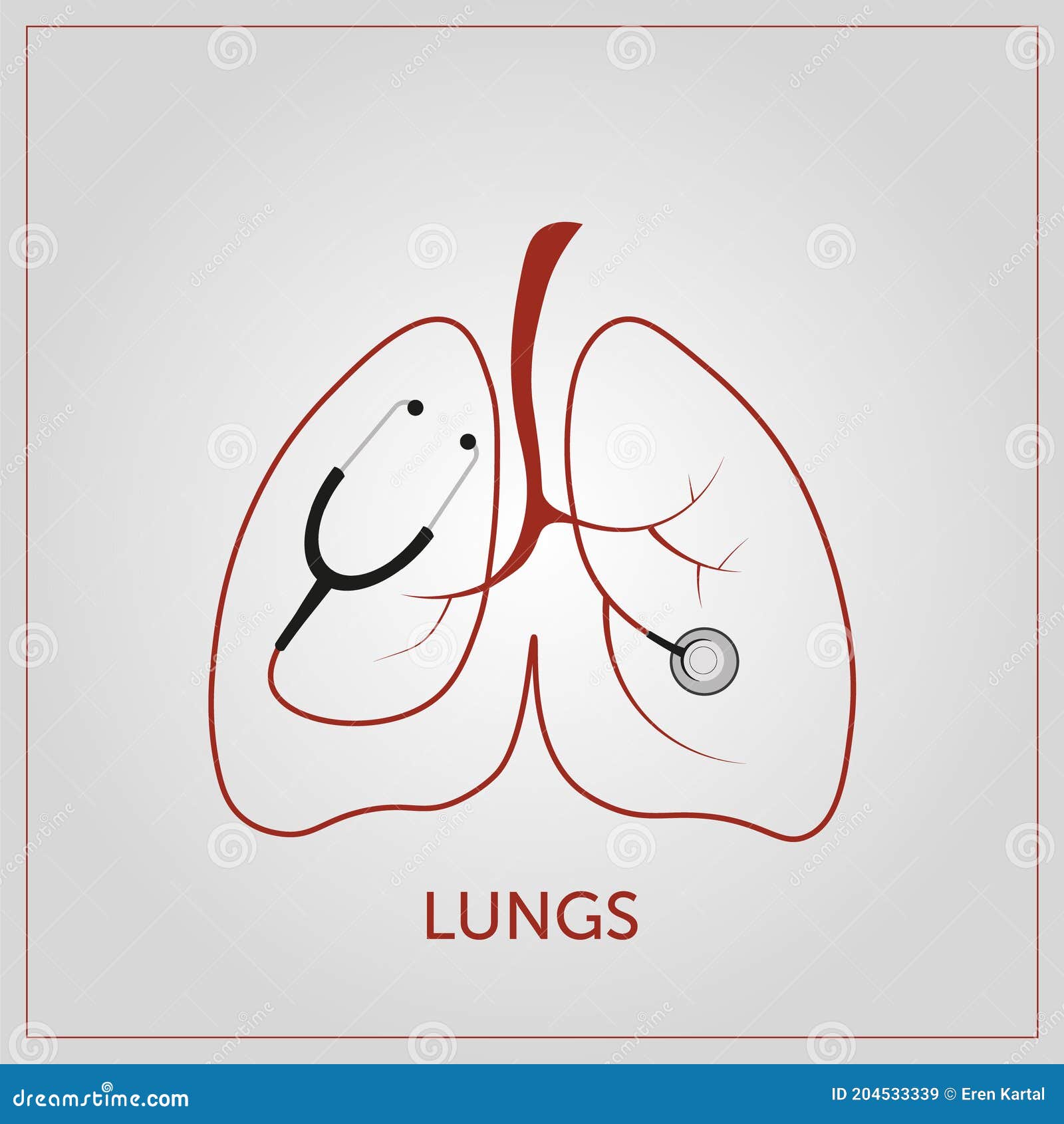 Lungs Vectoral Illustration. Design of Lungs and Stethoscope Stock