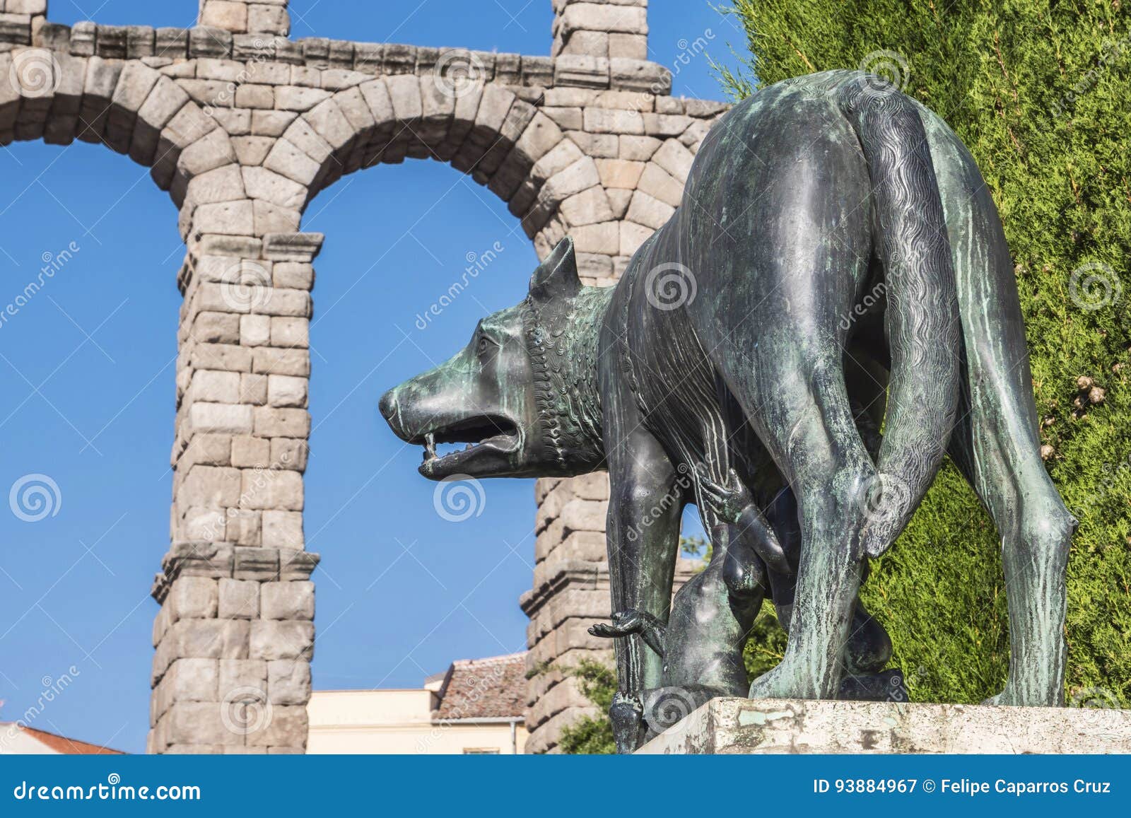 lupa capitolina statue at the foot of aqueduct of segovia