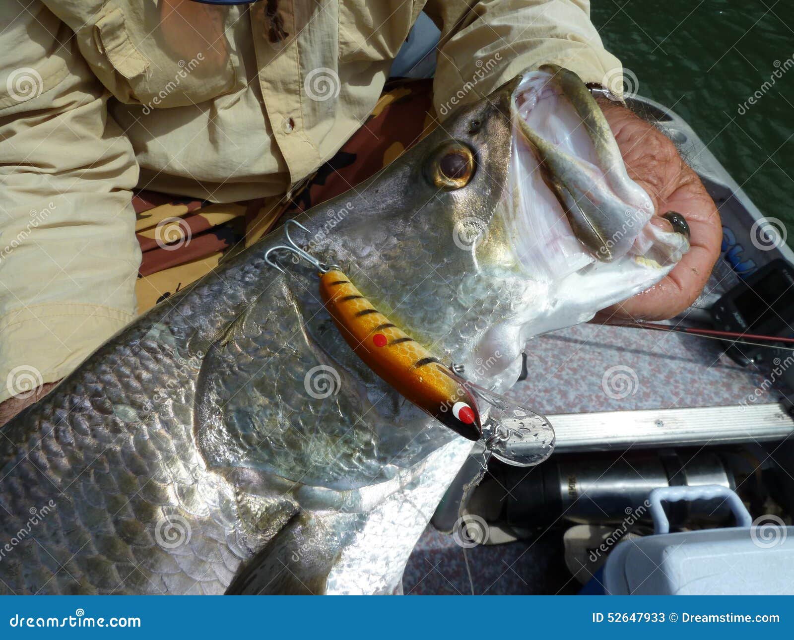 Lure Fishing - Barramundi stock image. Image of fishing - 52647933