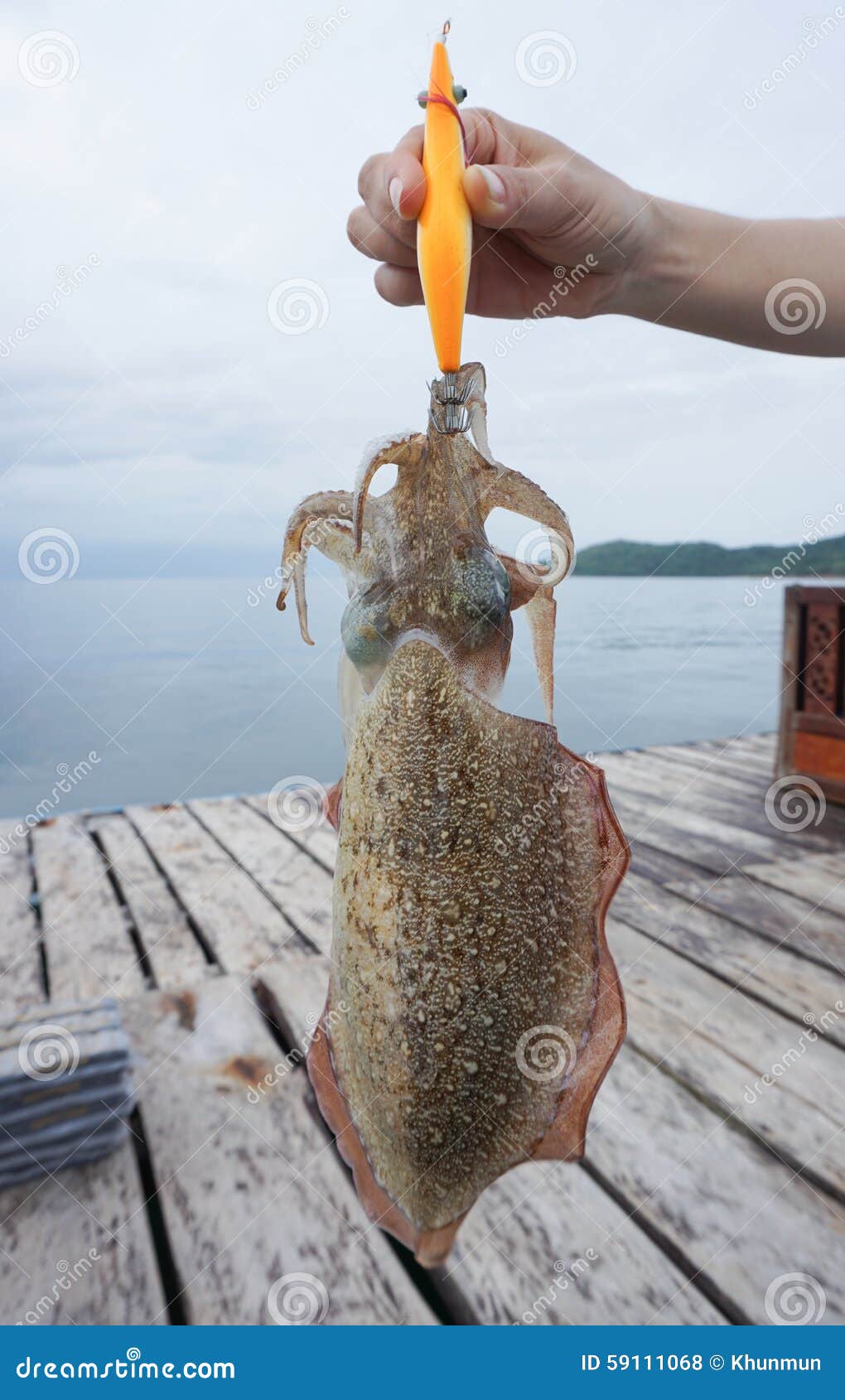 Squid Jigs Stock Photos - Free & Royalty-Free Stock Photos from Dreamstime