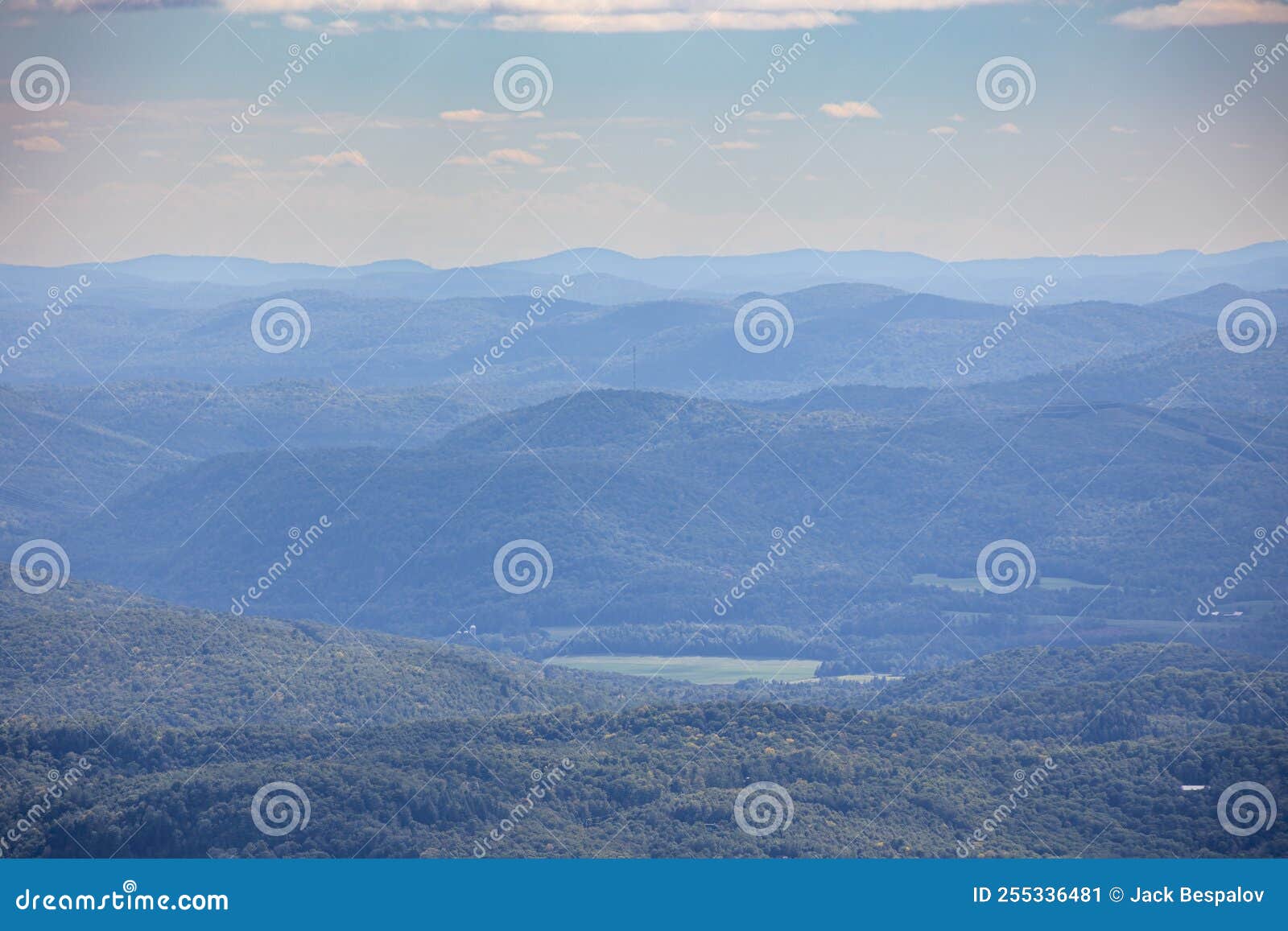 lush boreal forest panorama view from the top