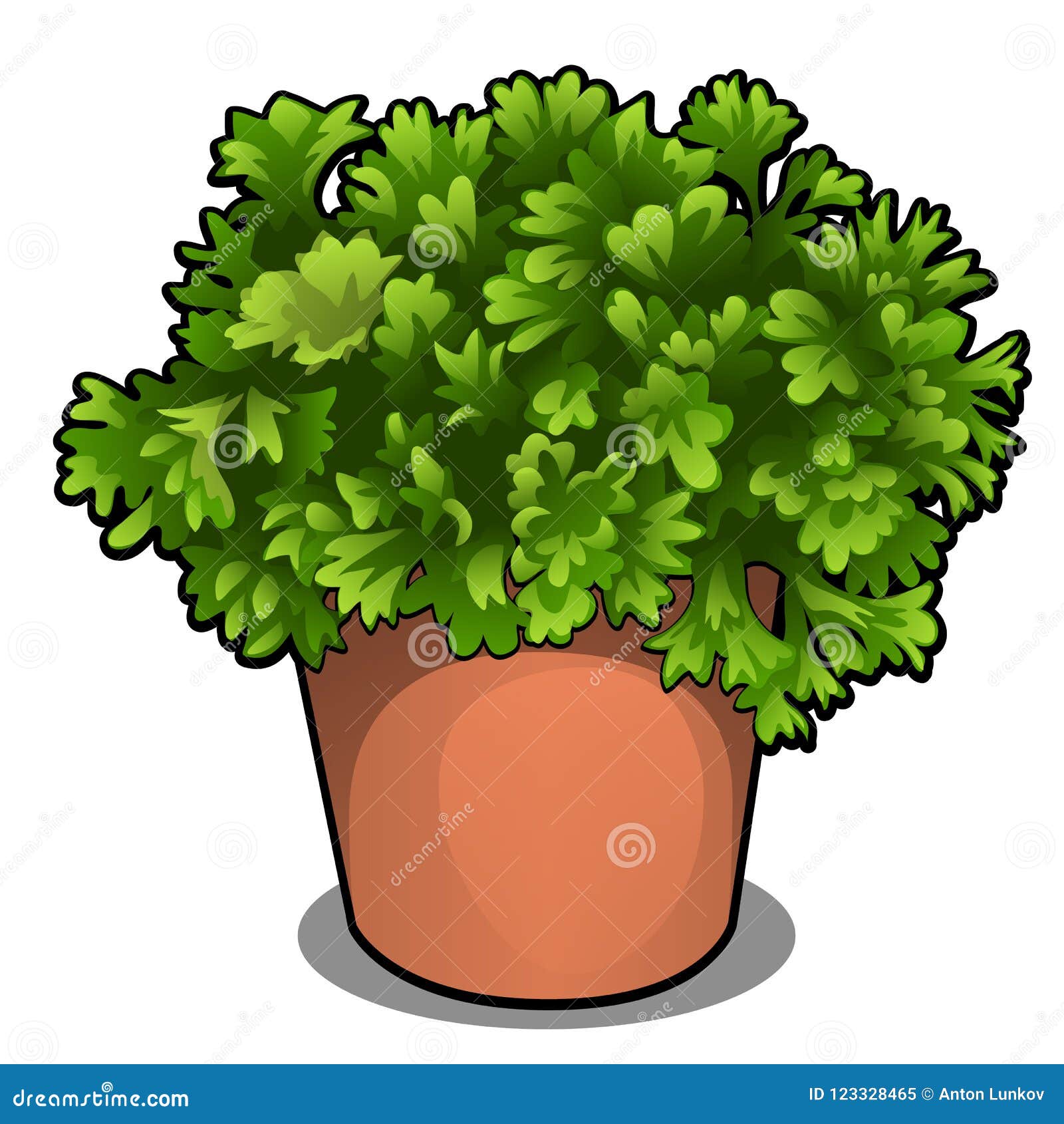 Parsley. Vector Drawing | CartoonDealer.com #87435911