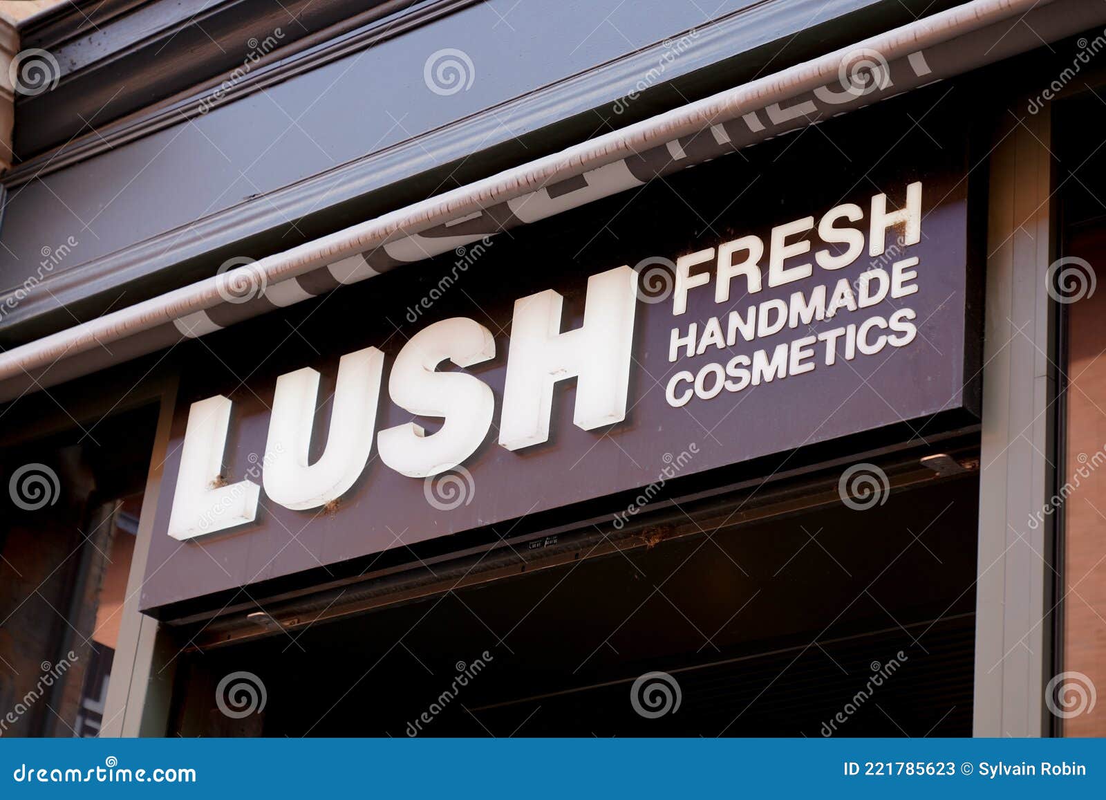 LUSH Logo  Lush cosmetics, North face logo, The north face logo