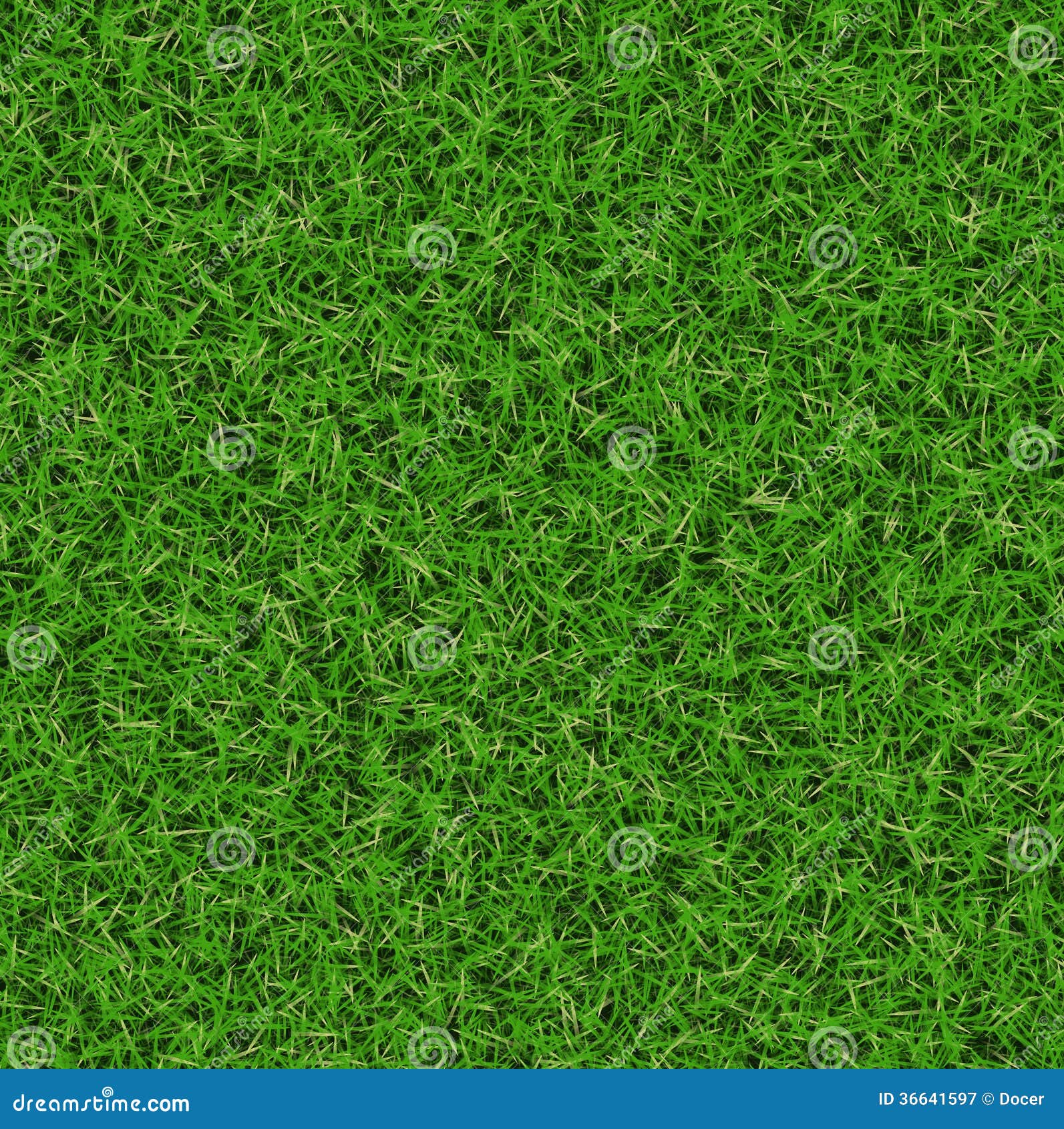 Lush Green Grass Texture. Wallpapers Pattern Stock Image - Image of