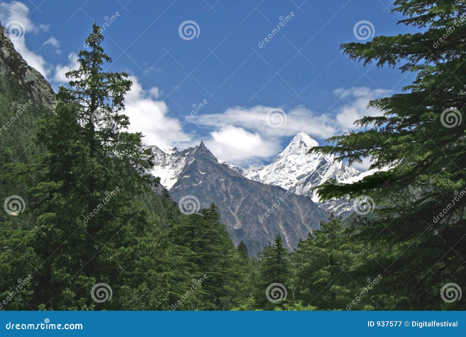 lush green himalayan forest and snow peaked valley india