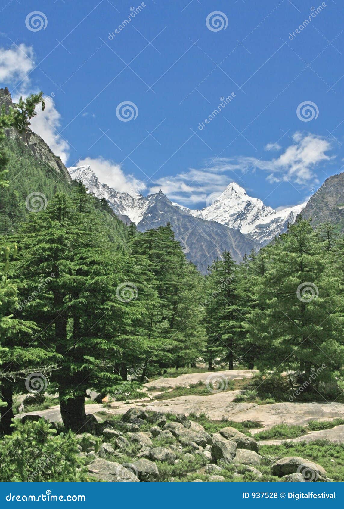 lush green himalayan forest and valley uttaranchal india